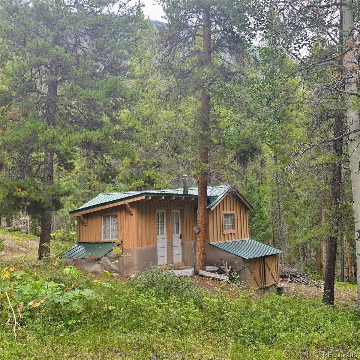 MLS Image #18 for 16101  rob roy ms mc ,nathrop, Colorado