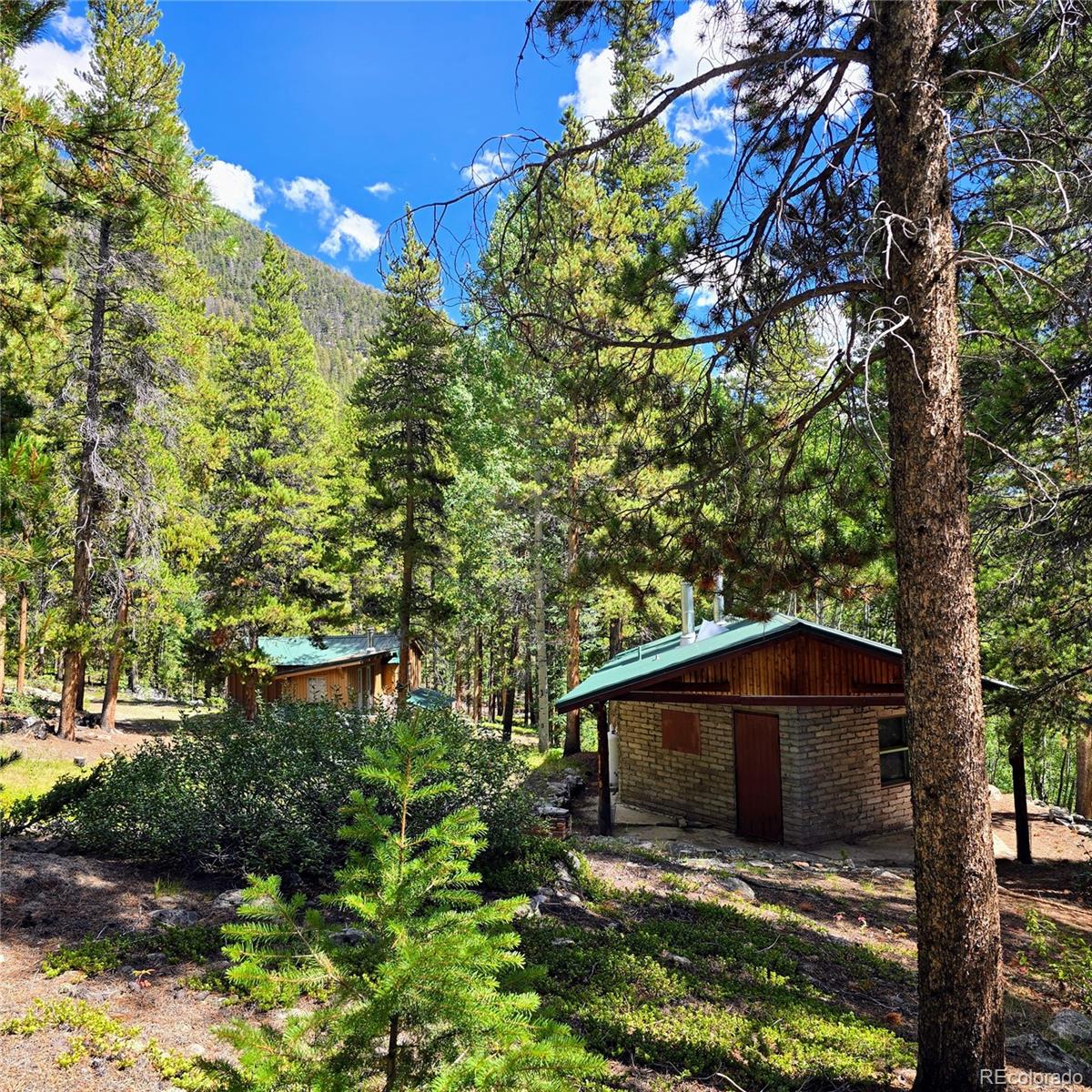 MLS Image #2 for 16101  rob roy ms mc ,nathrop, Colorado