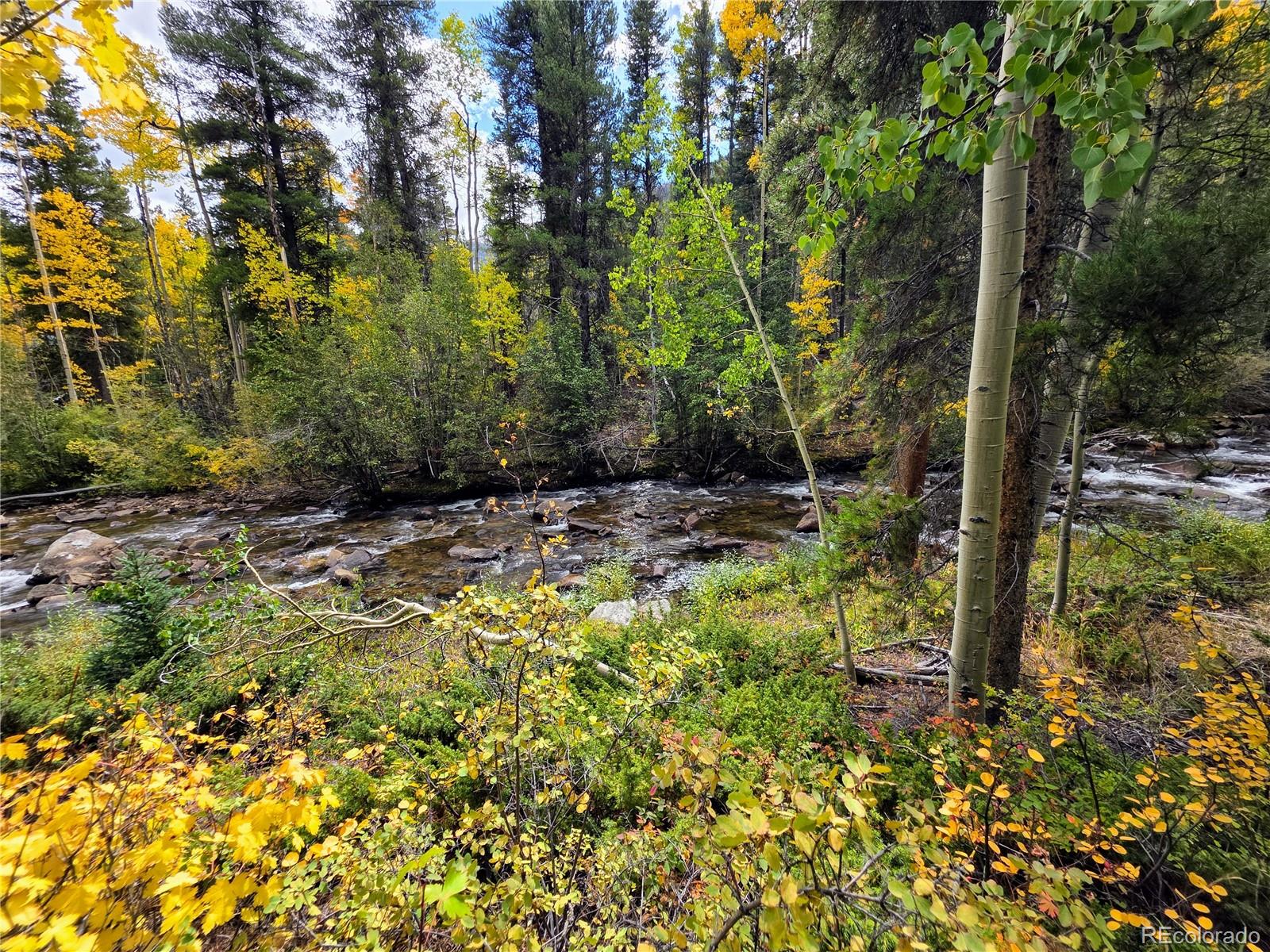 MLS Image #22 for 16101  rob roy ms mc ,nathrop, Colorado