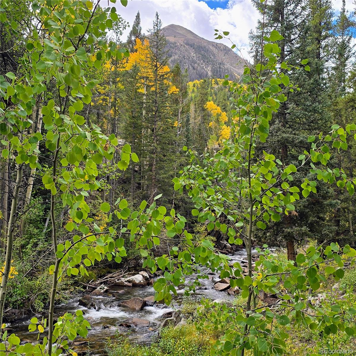 MLS Image #23 for 16101  rob roy ms mc ,nathrop, Colorado