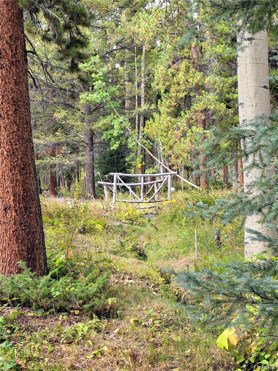 MLS Image #24 for 16101  rob roy ms mc ,nathrop, Colorado