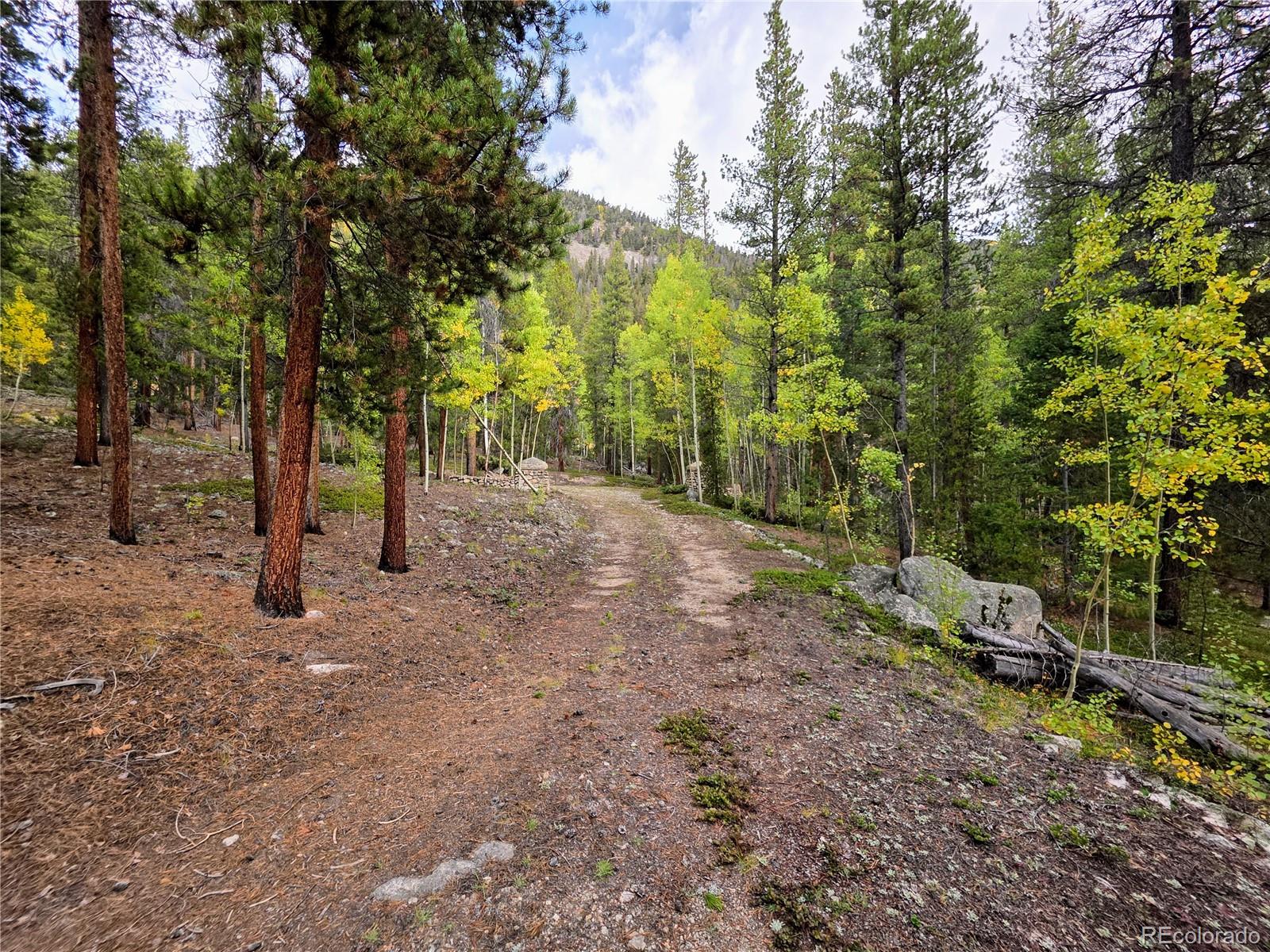 MLS Image #25 for 16101  rob roy ms mc ,nathrop, Colorado