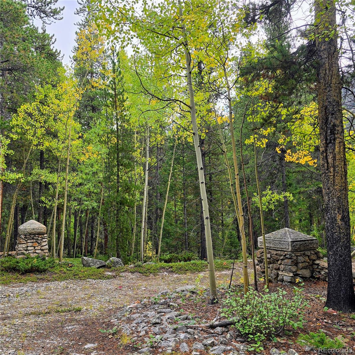MLS Image #26 for 16101  rob roy ms mc ,nathrop, Colorado