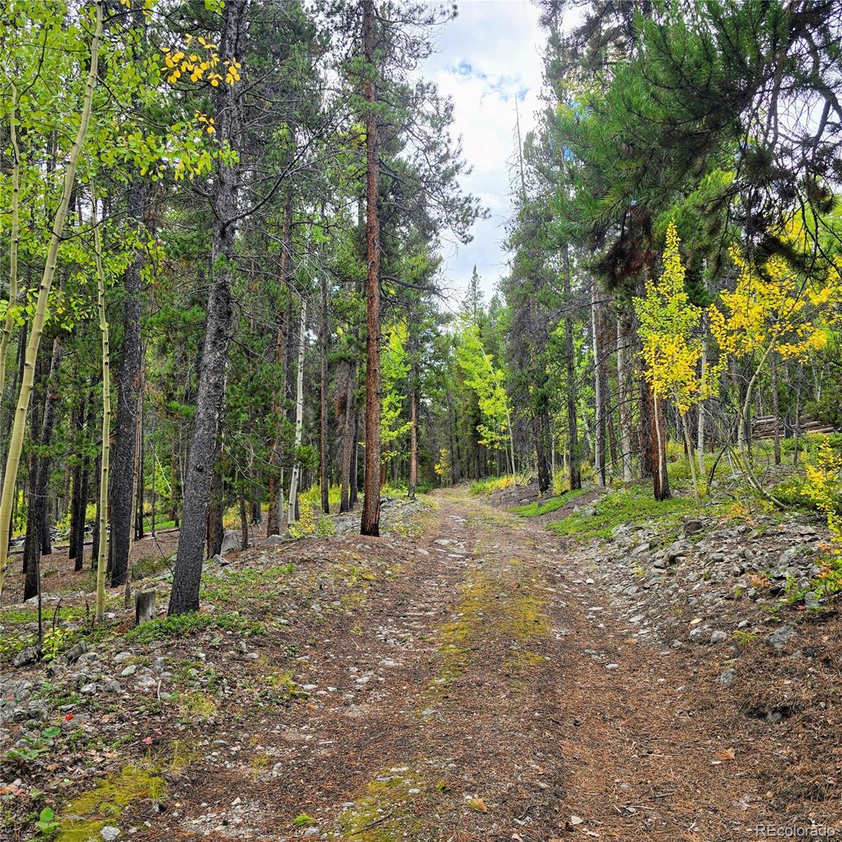 MLS Image #27 for 16101  rob roy ms mc ,nathrop, Colorado
