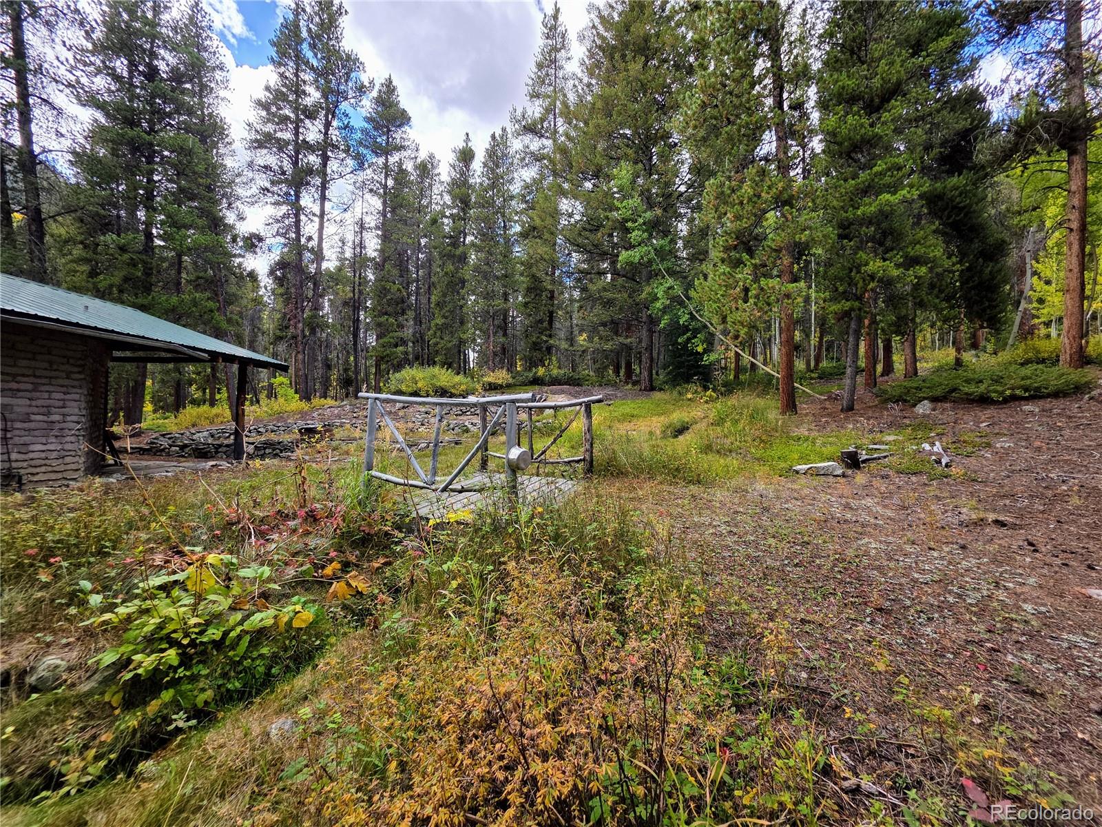 MLS Image #28 for 16101  rob roy ms mc ,nathrop, Colorado