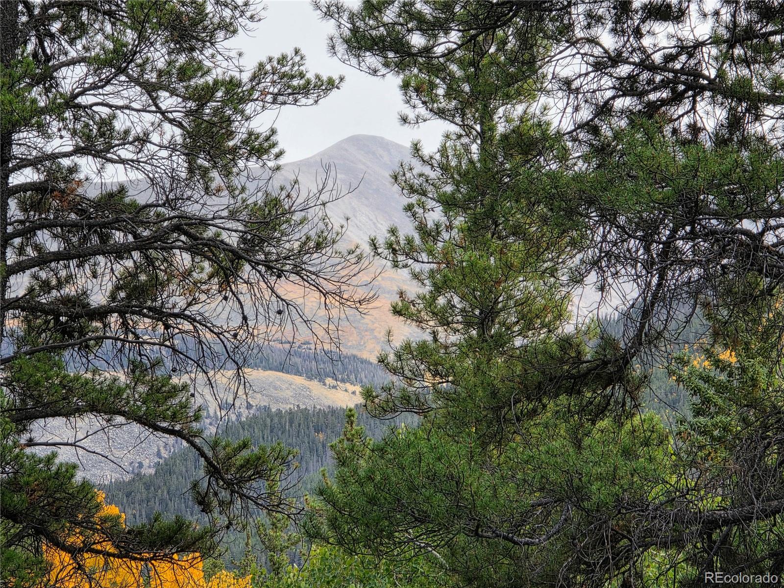 MLS Image #31 for 16101  rob roy ms mc ,nathrop, Colorado