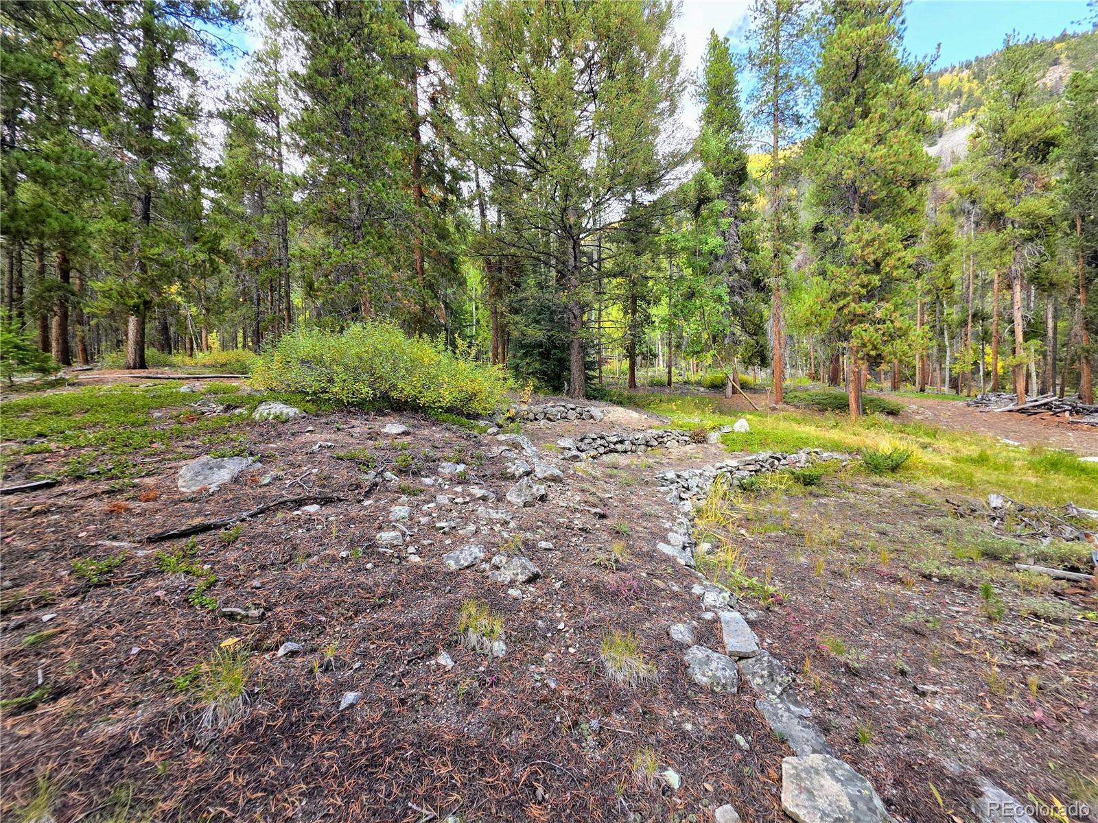 MLS Image #34 for 16101  rob roy ms mc ,nathrop, Colorado