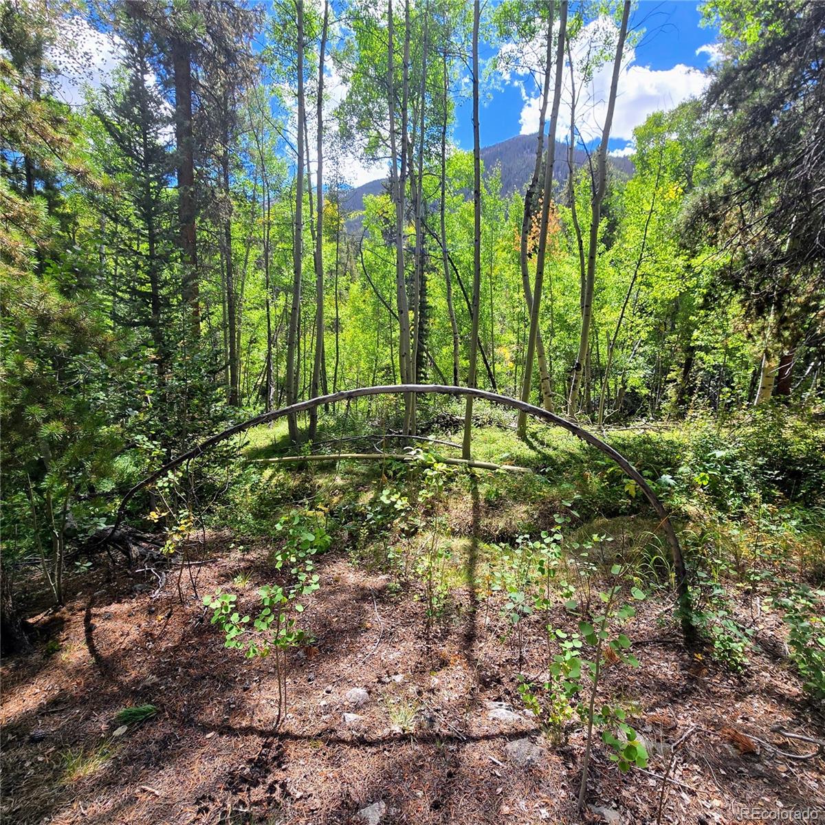 MLS Image #35 for 16101  rob roy ms mc ,nathrop, Colorado