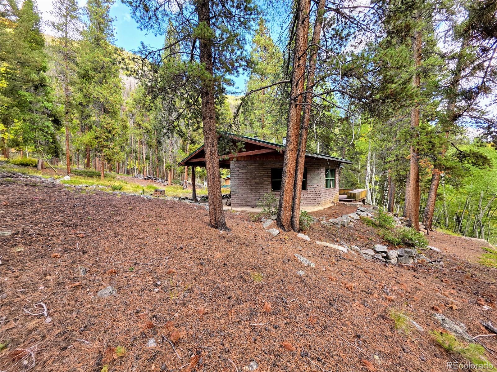 MLS Image #36 for 16101  rob roy ms mc ,nathrop, Colorado