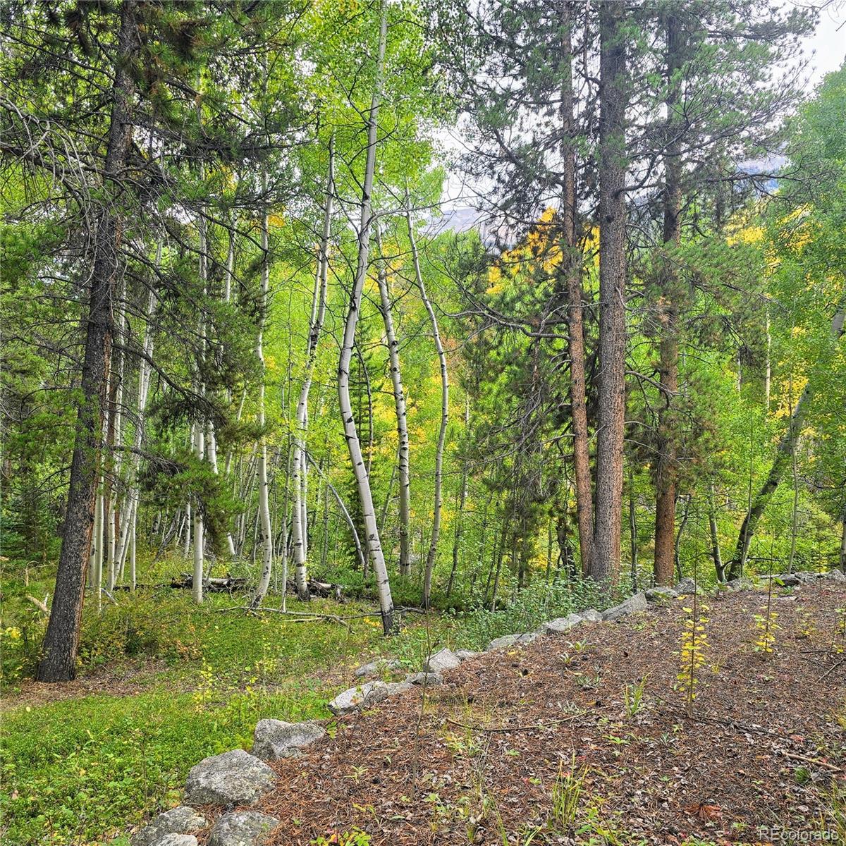MLS Image #37 for 16101  rob roy ms mc ,nathrop, Colorado