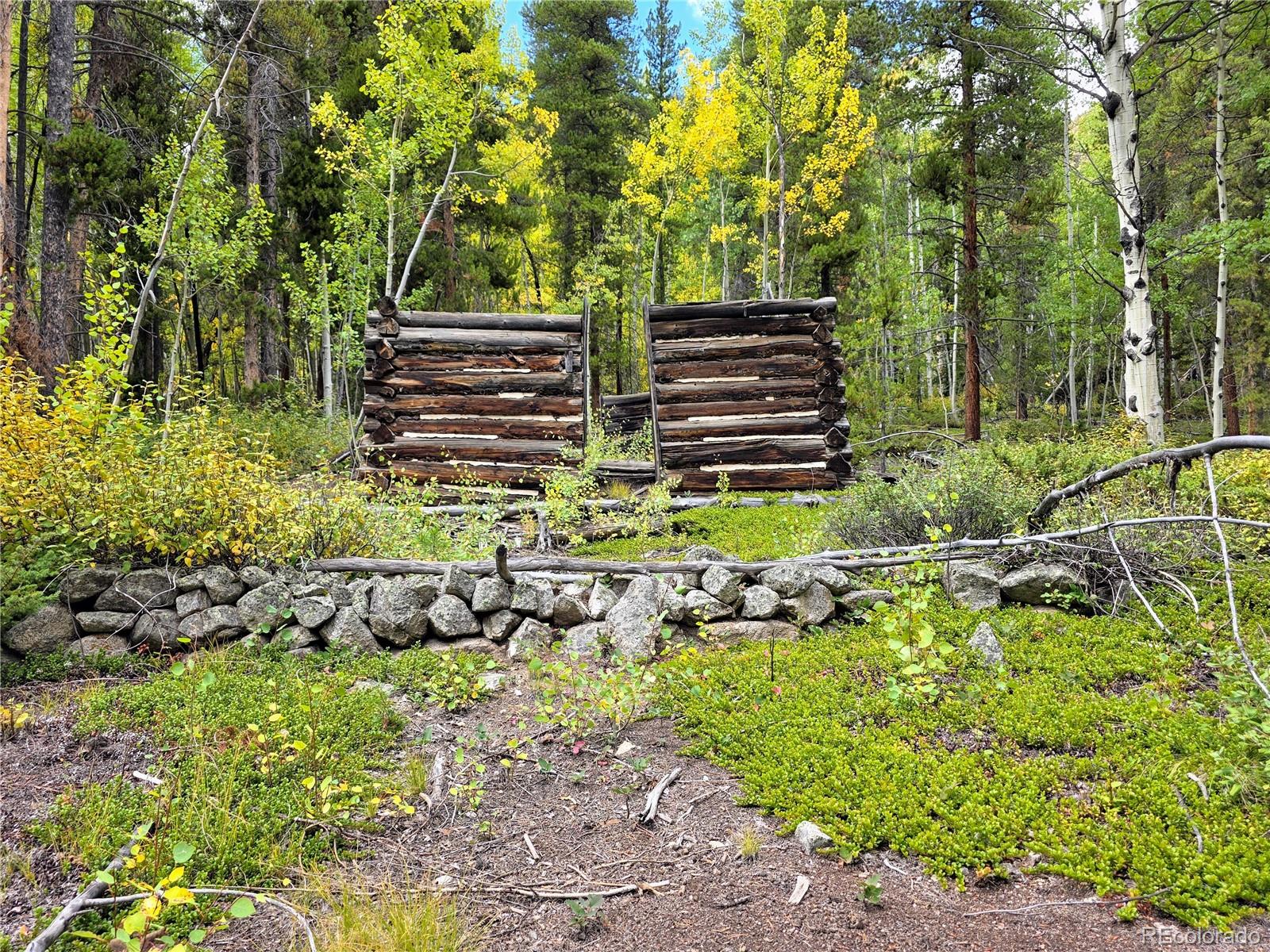 MLS Image #38 for 16101  rob roy ms mc ,nathrop, Colorado