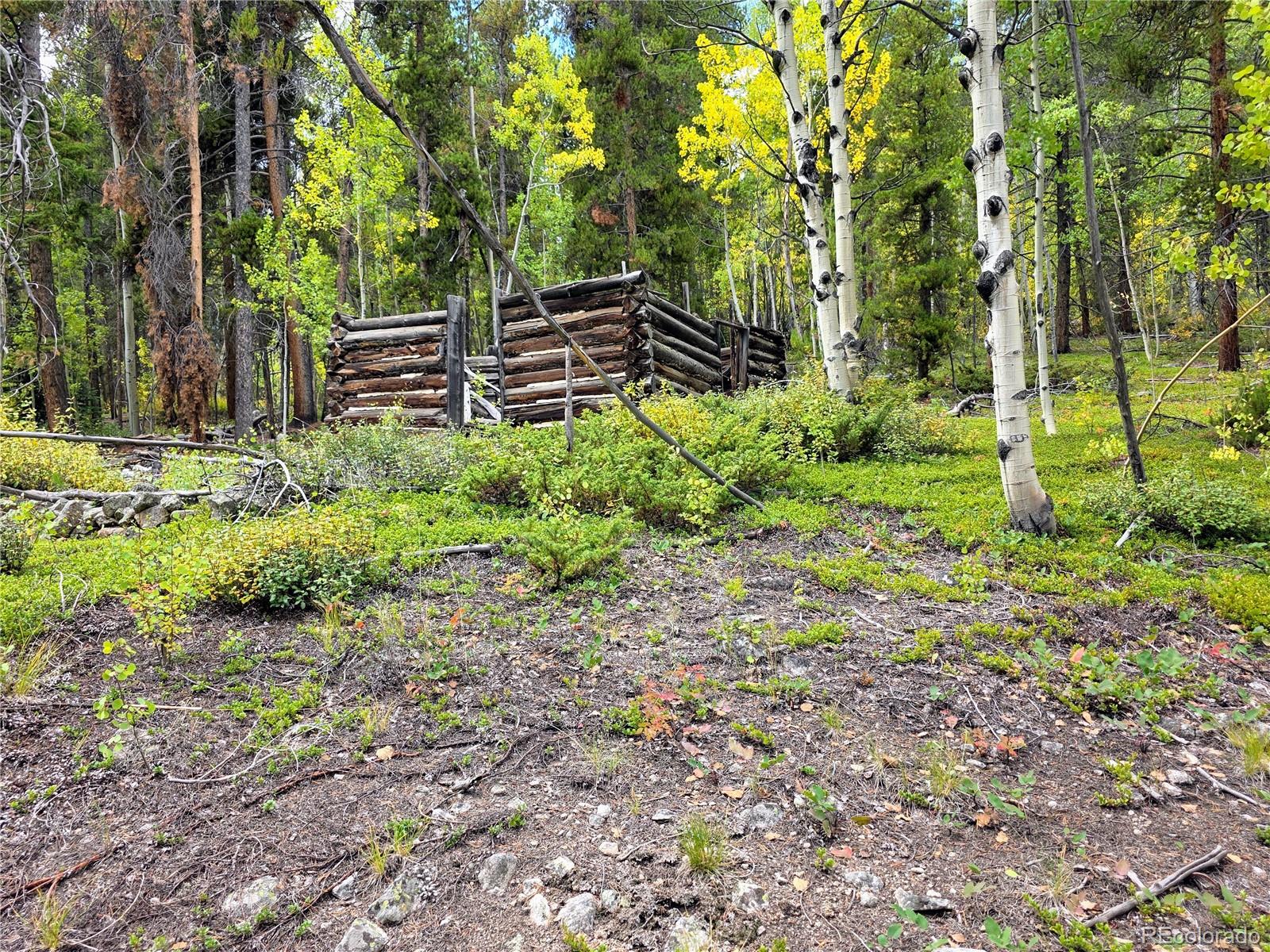 MLS Image #39 for 16101  rob roy ms mc ,nathrop, Colorado