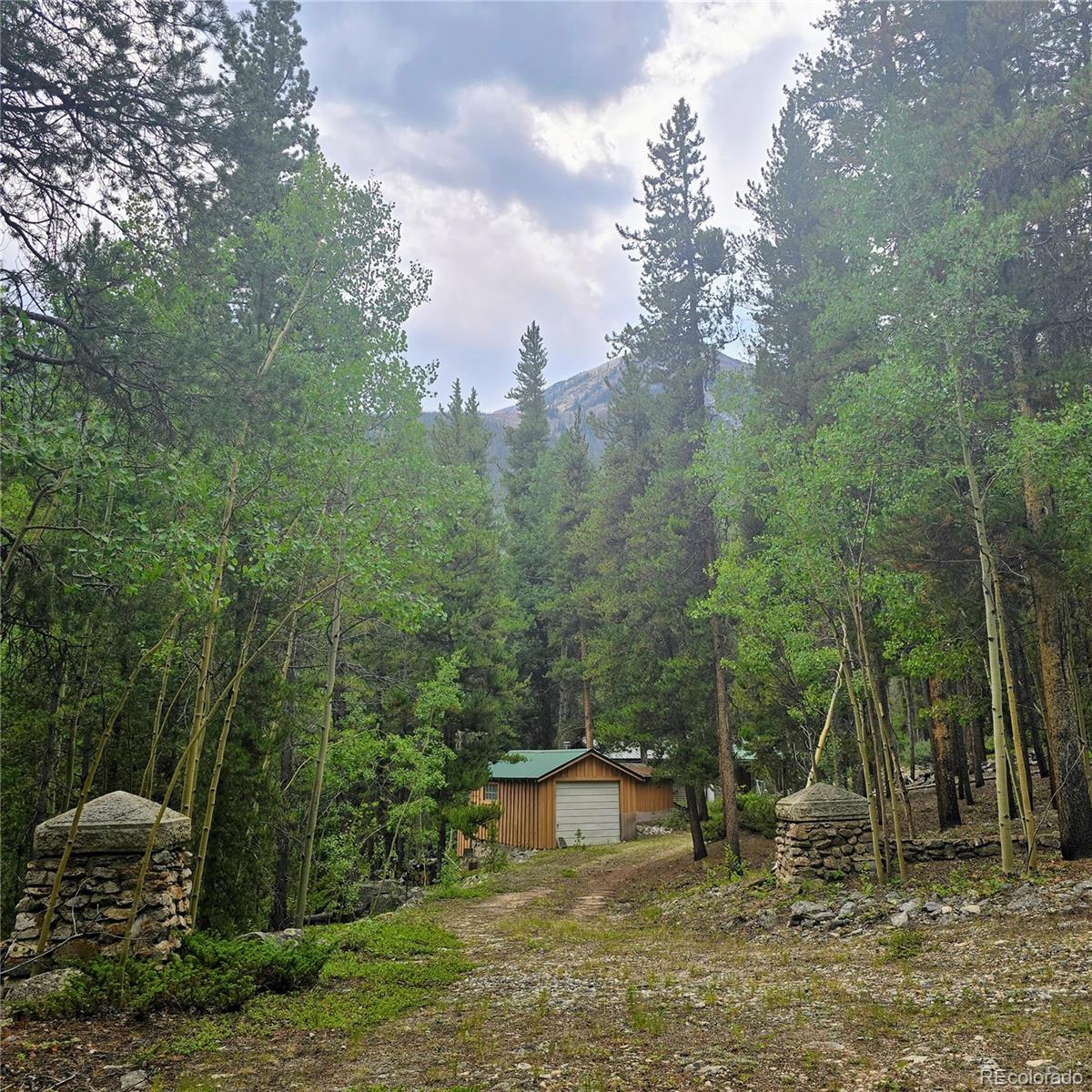 MLS Image #4 for 16101  rob roy ms mc ,nathrop, Colorado