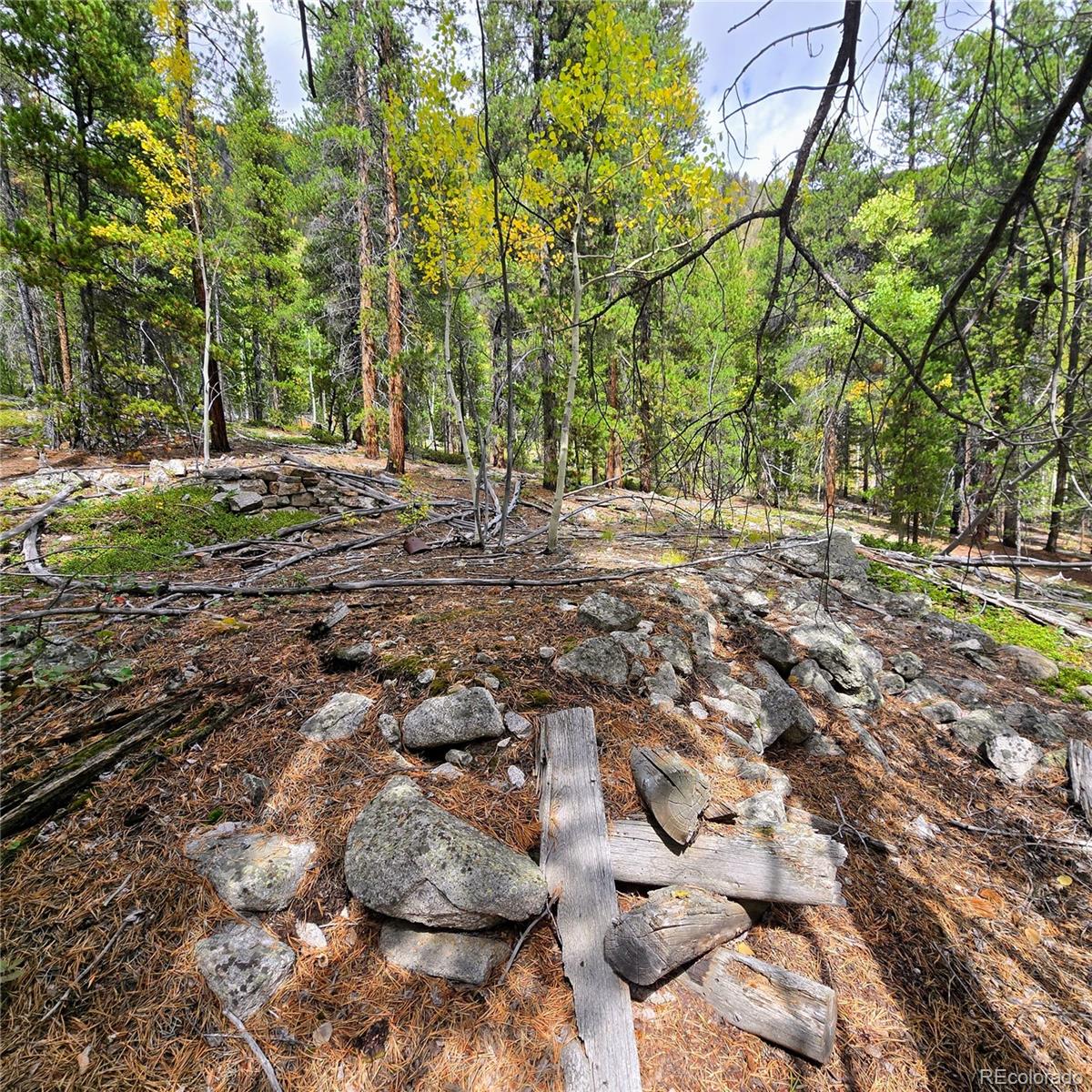 MLS Image #40 for 16101  rob roy ms mc ,nathrop, Colorado