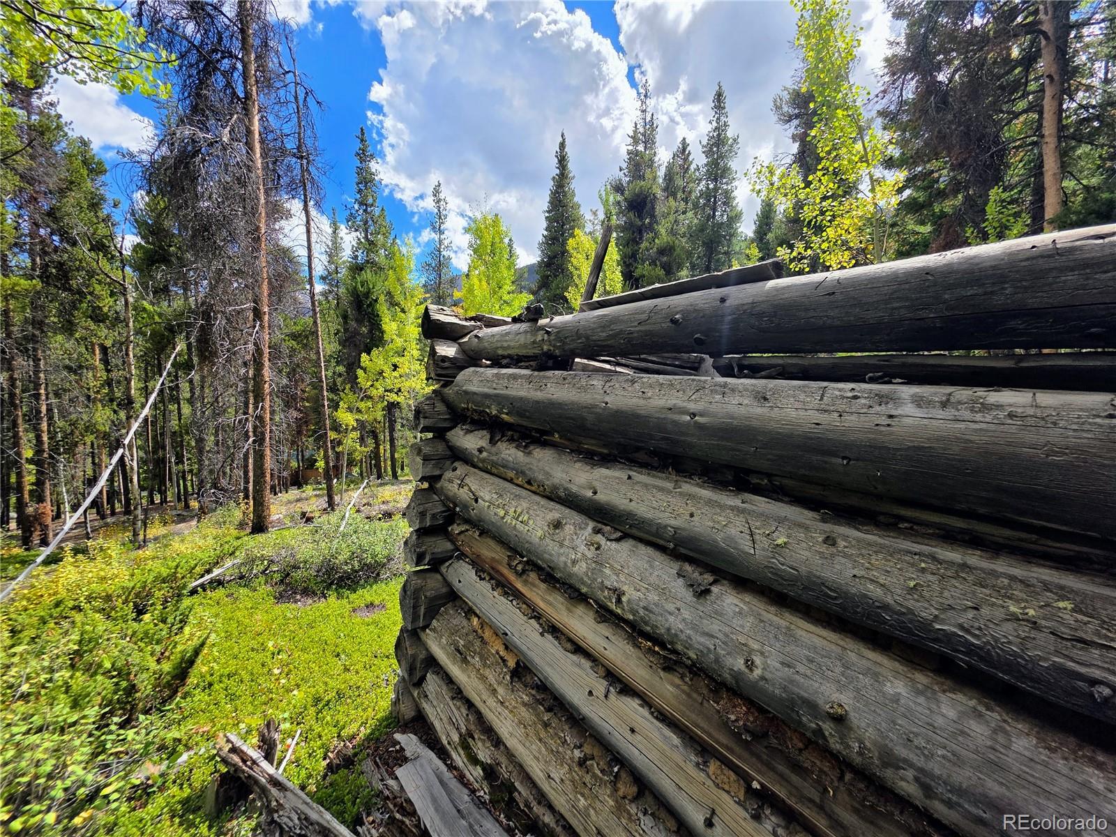 MLS Image #41 for 16101  rob roy ms mc ,nathrop, Colorado