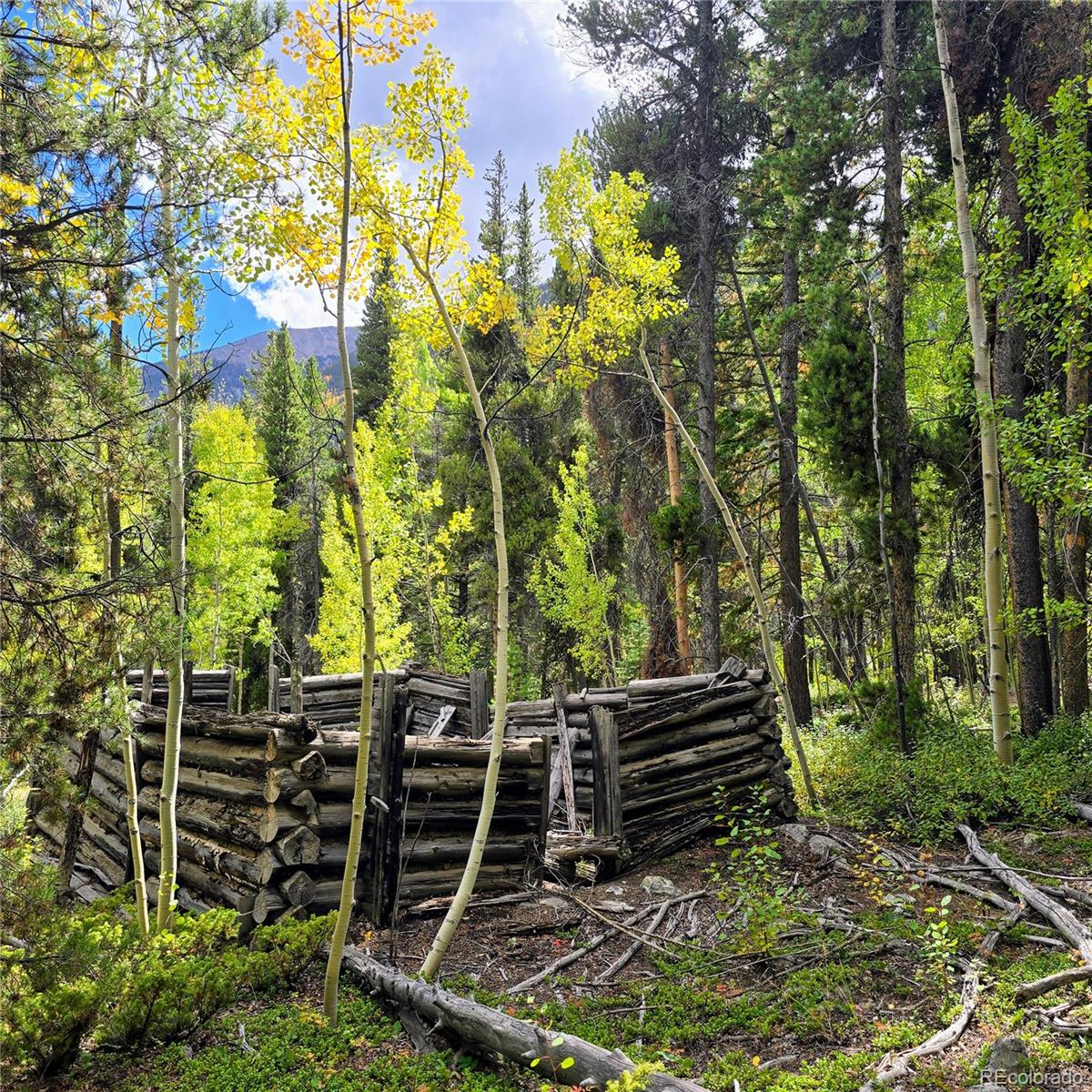 MLS Image #42 for 16101  rob roy ms mc ,nathrop, Colorado