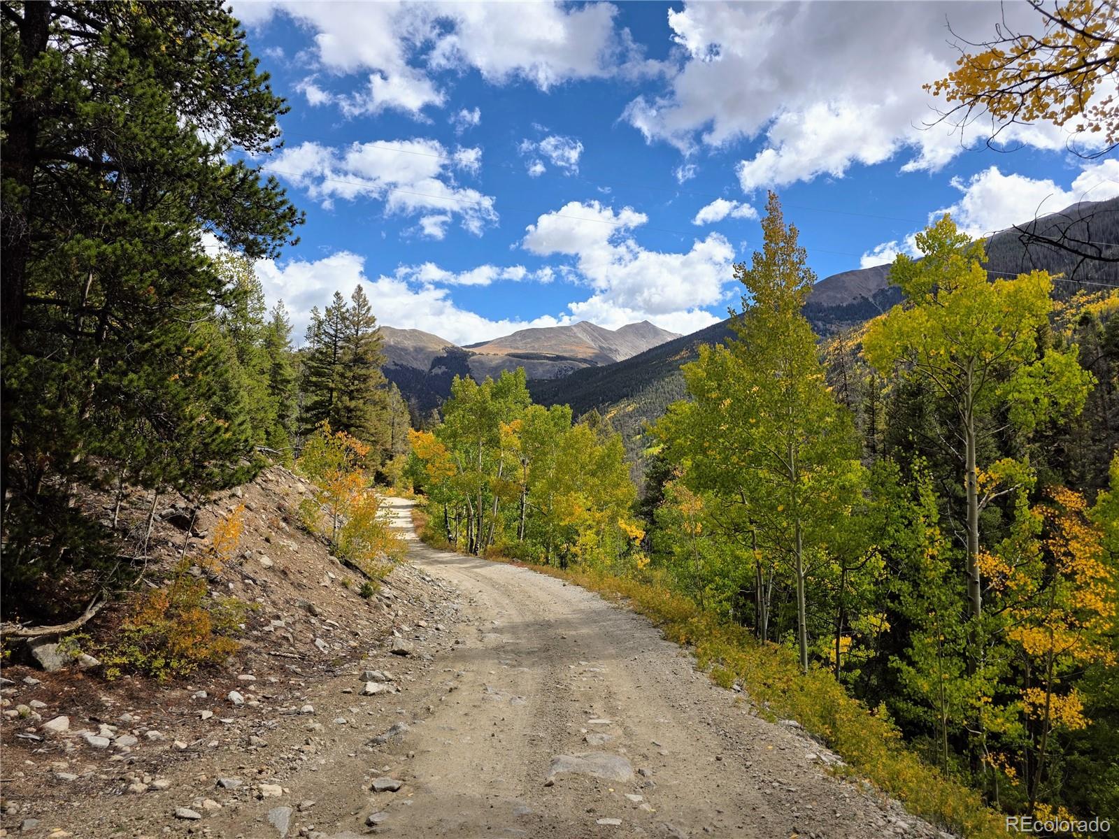 MLS Image #43 for 16101  rob roy ms mc ,nathrop, Colorado
