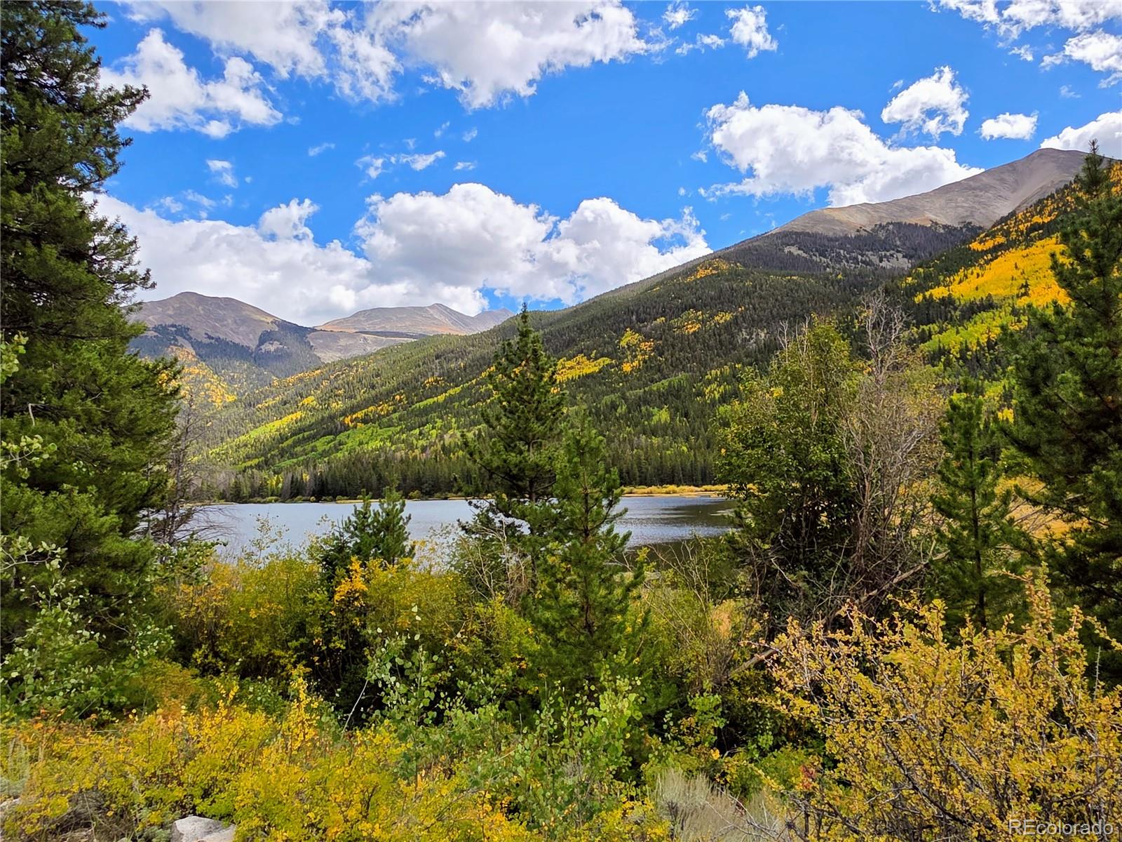 MLS Image #44 for 16101  rob roy ms mc ,nathrop, Colorado