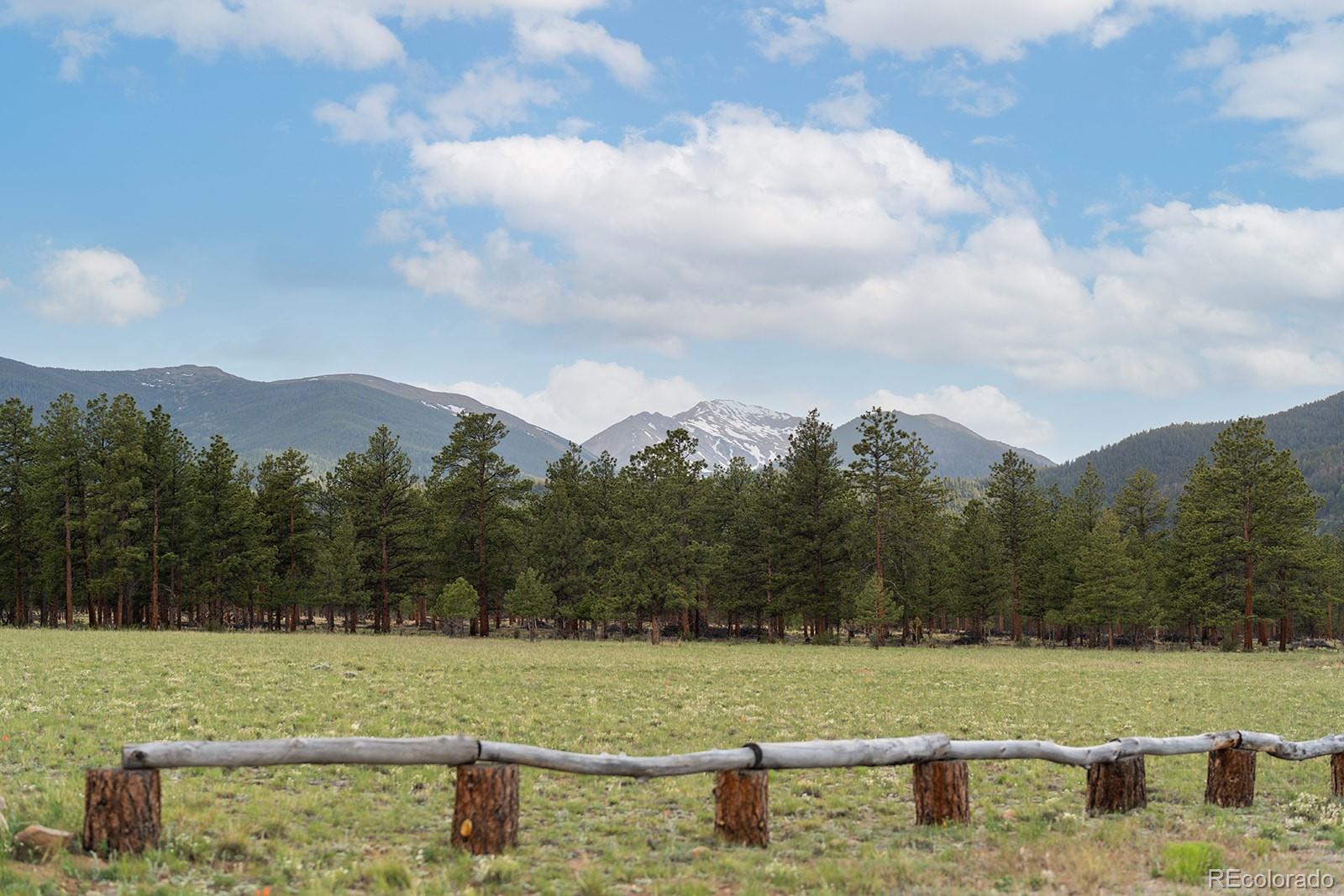 MLS Image #27 for 31322 n meadow way,buena vista, Colorado