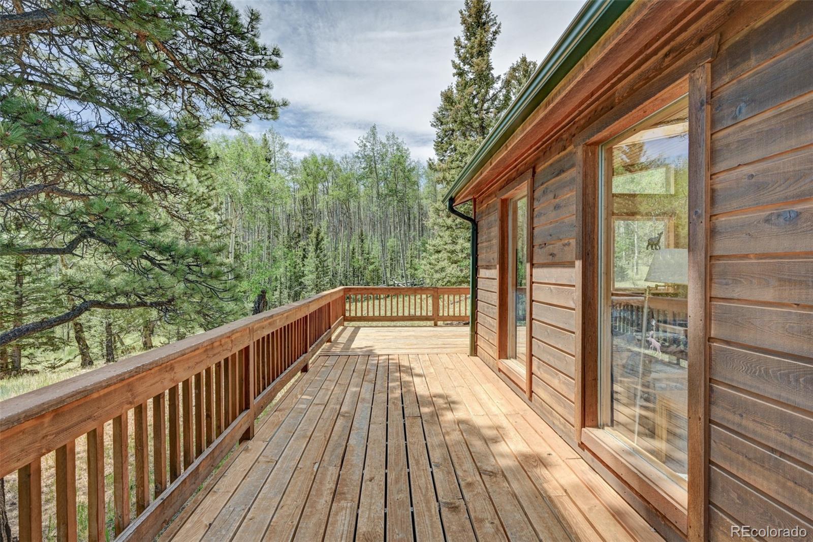 MLS Image #11 for 115  mushroom court,buena vista, Colorado