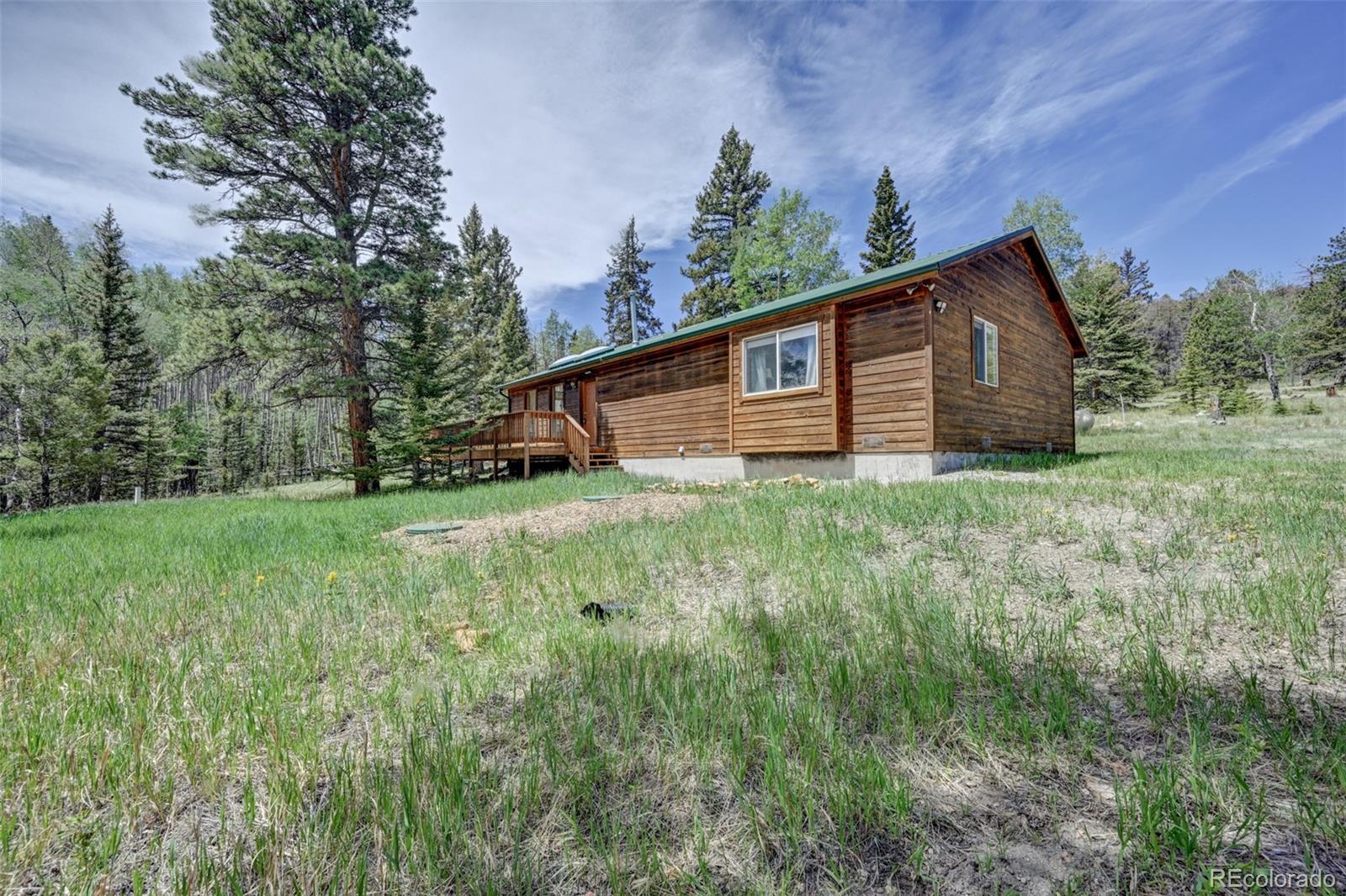 MLS Image #14 for 115  mushroom court,buena vista, Colorado