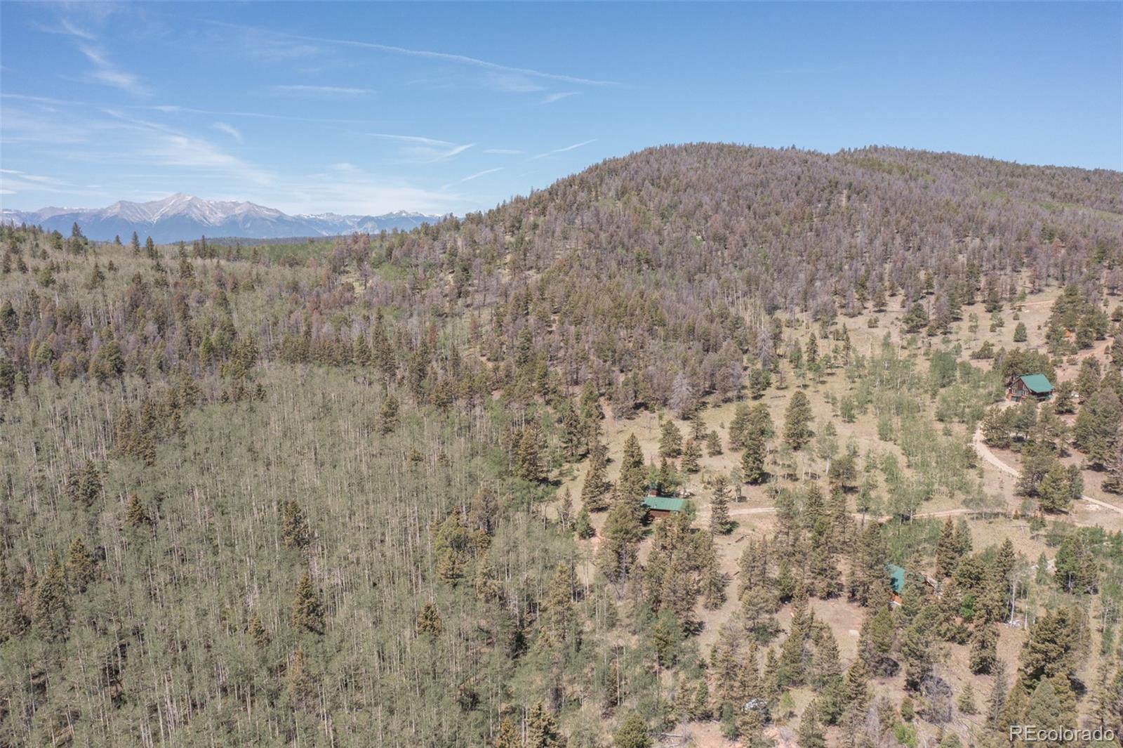 MLS Image #18 for 115  mushroom court,buena vista, Colorado