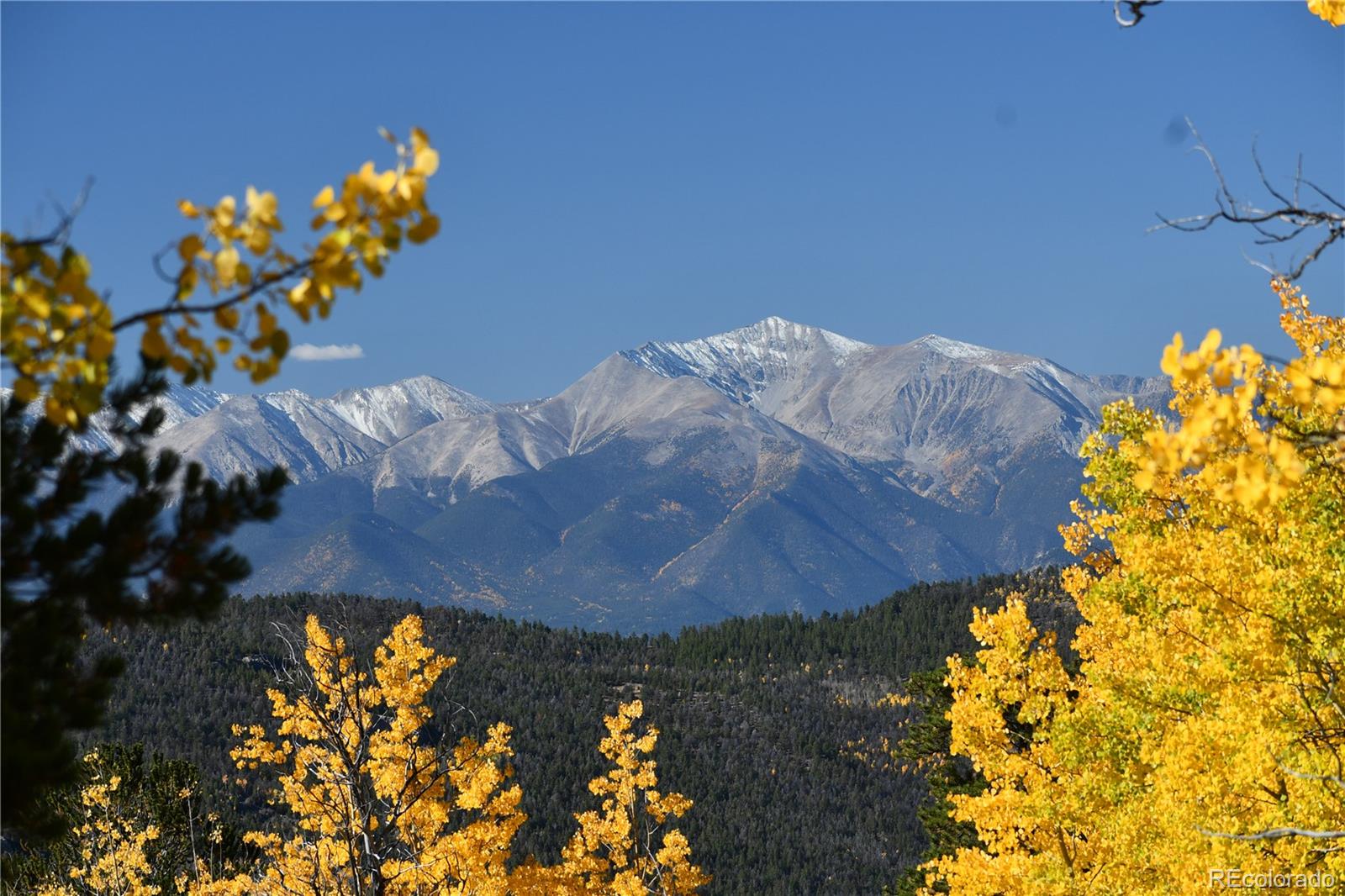 MLS Image #2 for 115  mushroom court,buena vista, Colorado