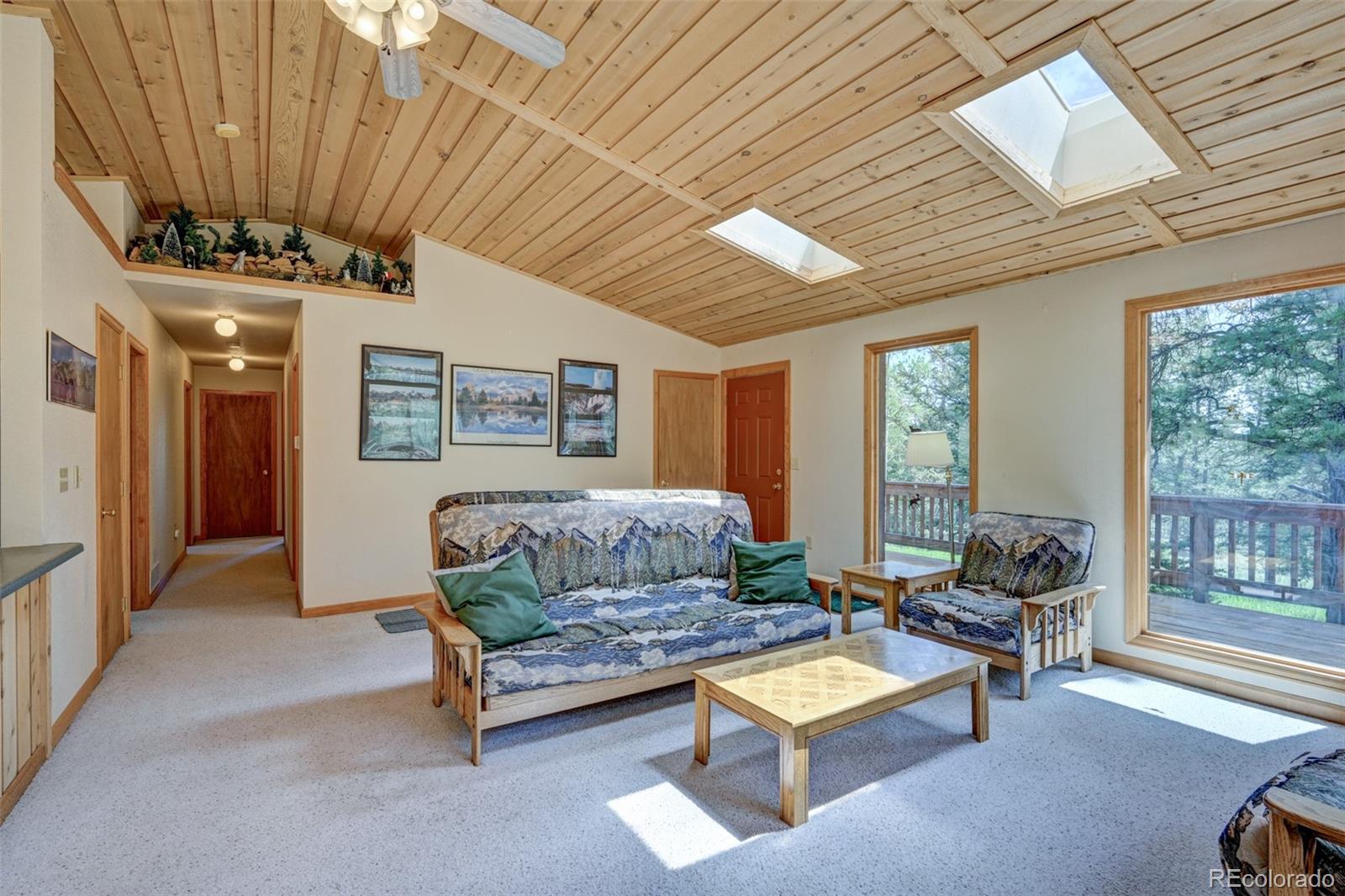 MLS Image #21 for 115  mushroom court,buena vista, Colorado
