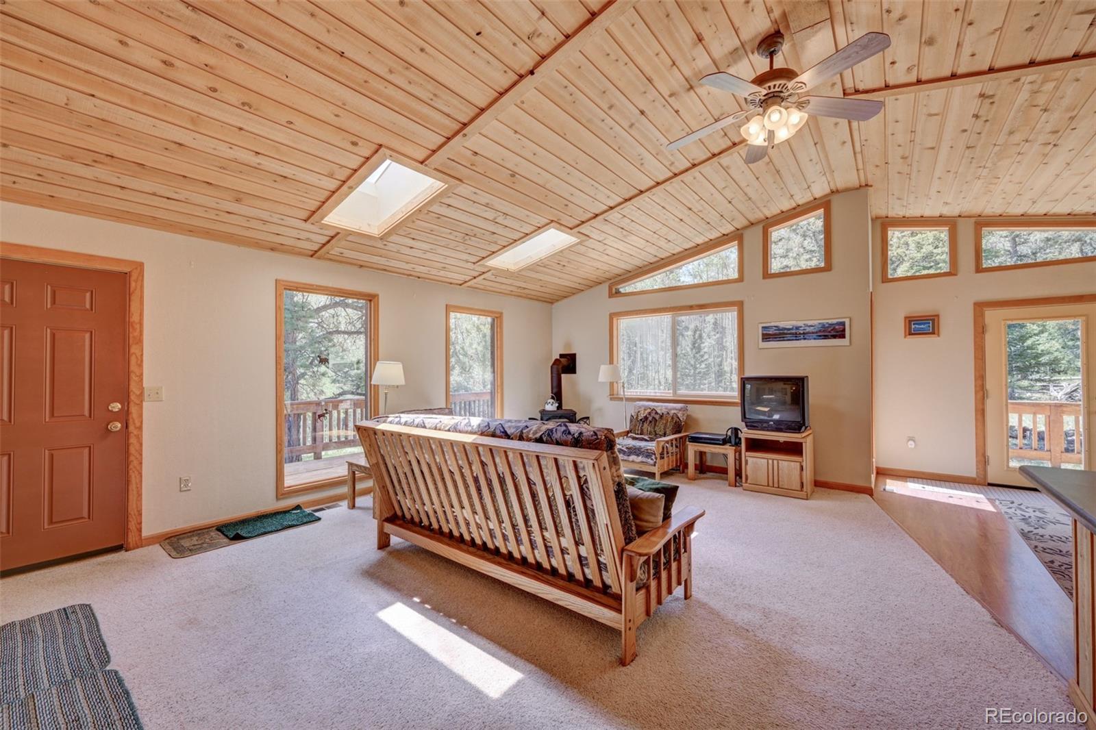 MLS Image #22 for 115  mushroom court,buena vista, Colorado