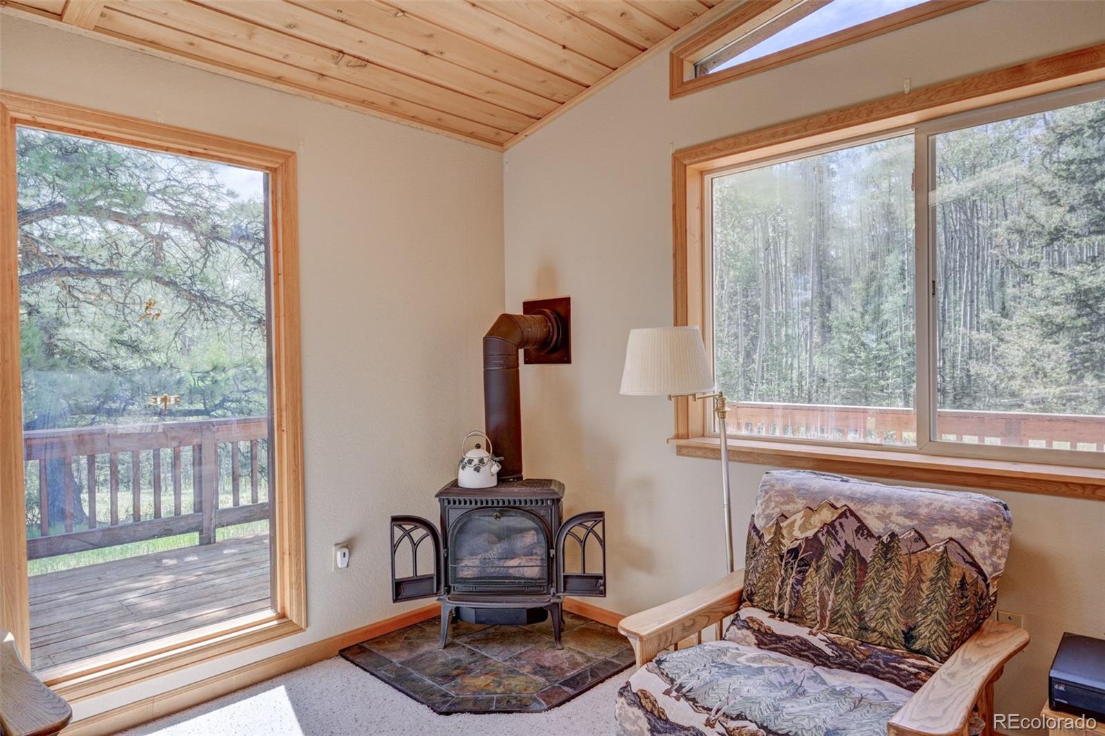 MLS Image #23 for 115  mushroom court,buena vista, Colorado