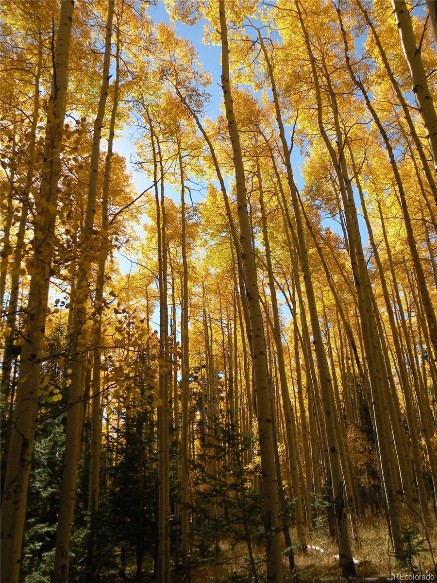 MLS Image #4 for 115  mushroom court,buena vista, Colorado