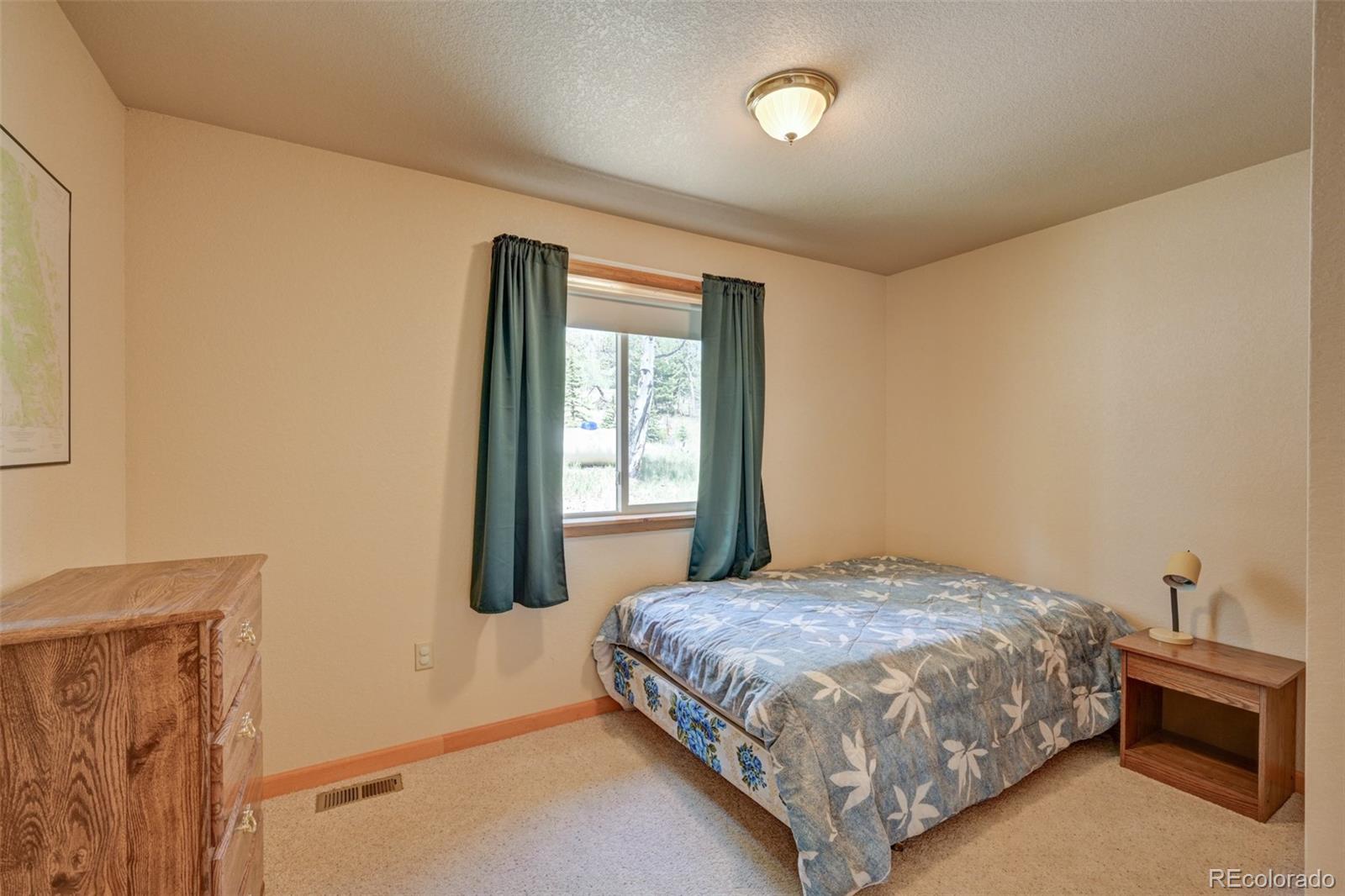 MLS Image #40 for 115  mushroom court,buena vista, Colorado