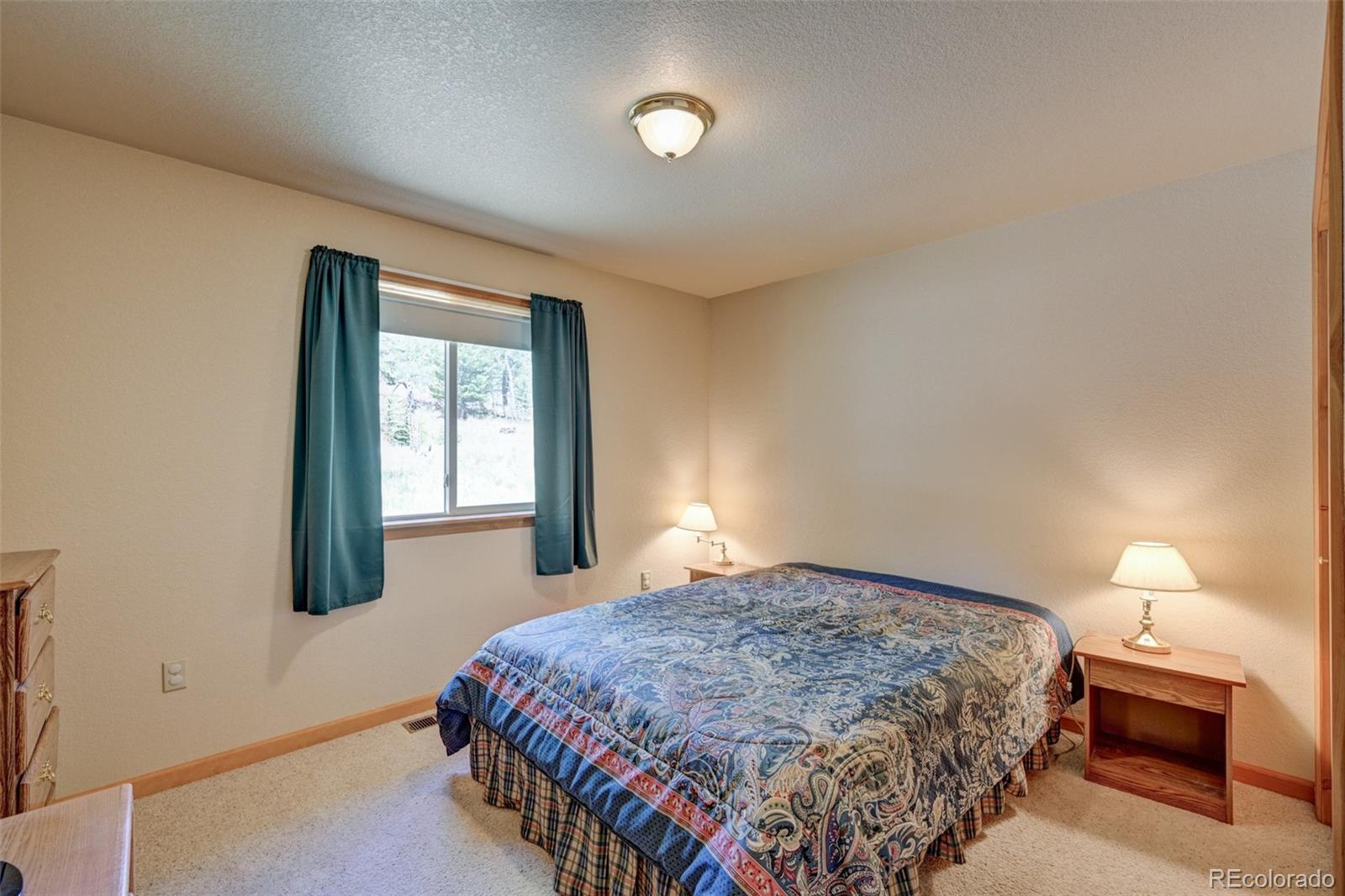 MLS Image #41 for 115  mushroom court,buena vista, Colorado
