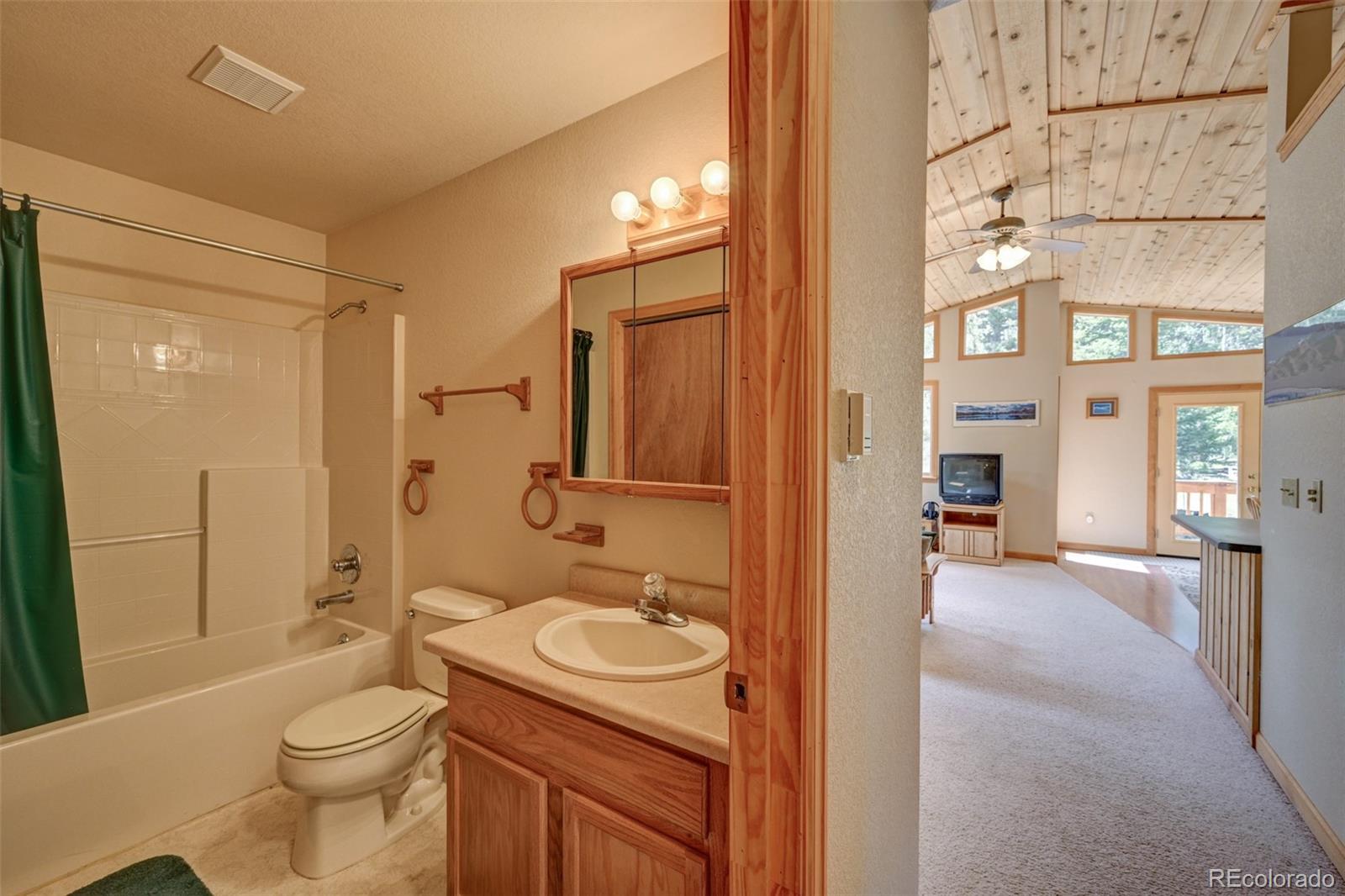 MLS Image #42 for 115  mushroom court,buena vista, Colorado
