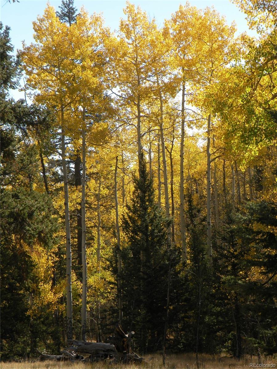 MLS Image #48 for 115  mushroom court,buena vista, Colorado