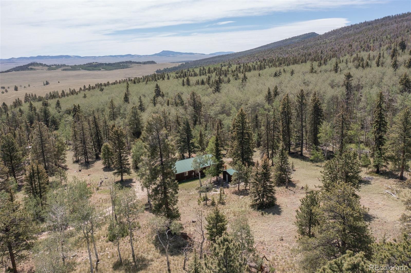 MLS Image #7 for 115  mushroom court,buena vista, Colorado