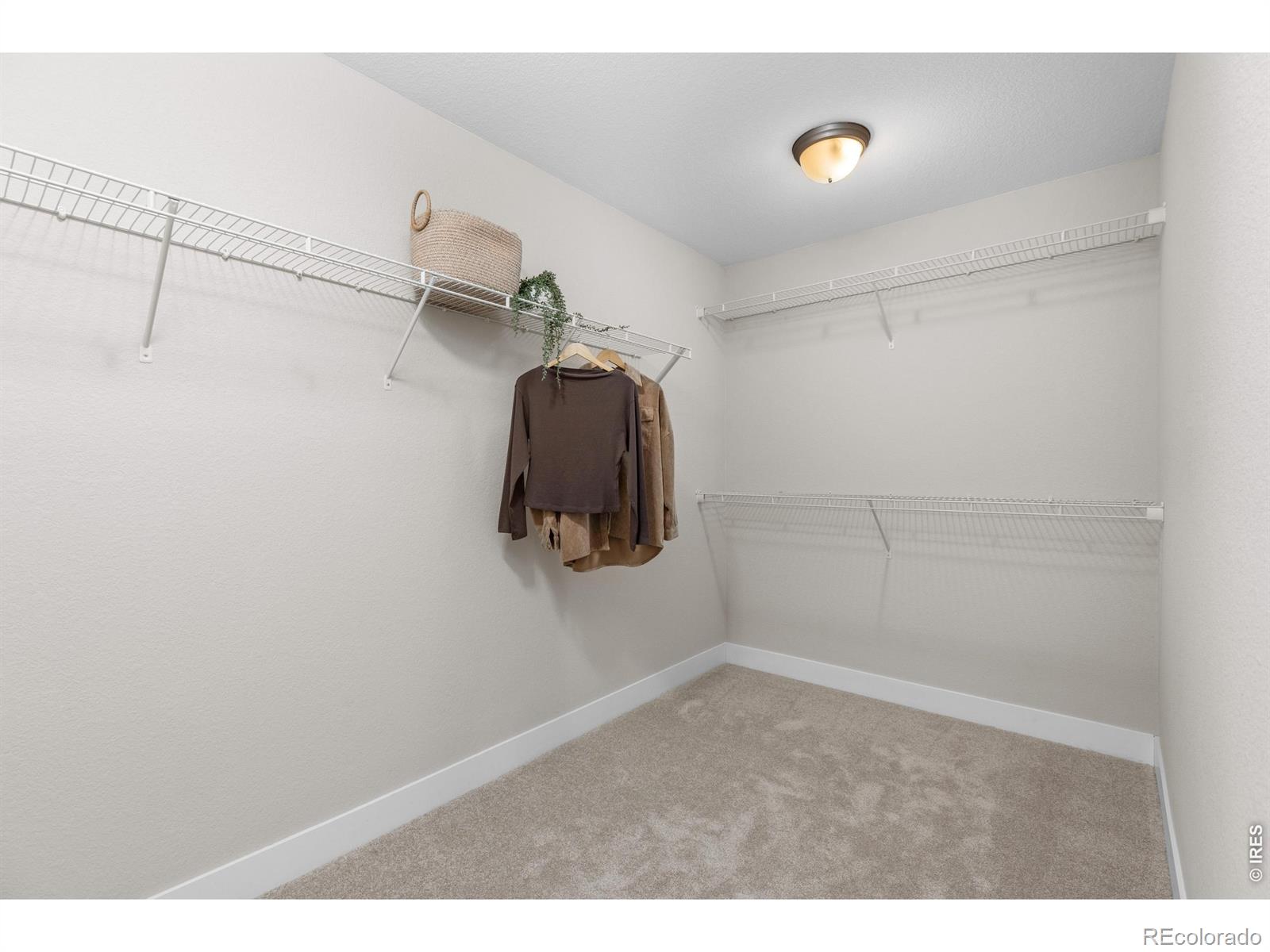 MLS Image #23 for 653  grandview mdws drive,longmont, Colorado