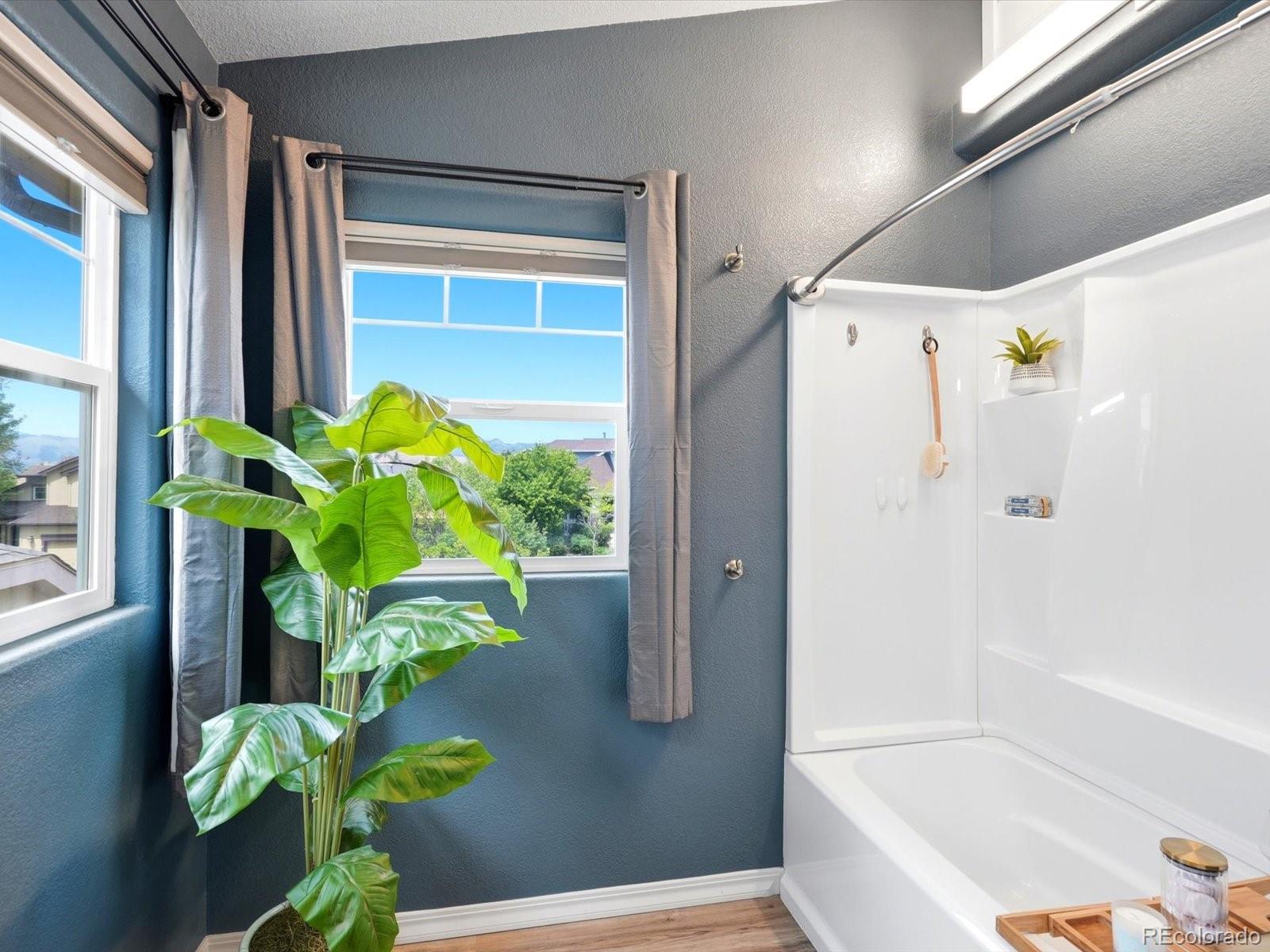 MLS Image #24 for 9959  rose leaf court,colorado springs, Colorado