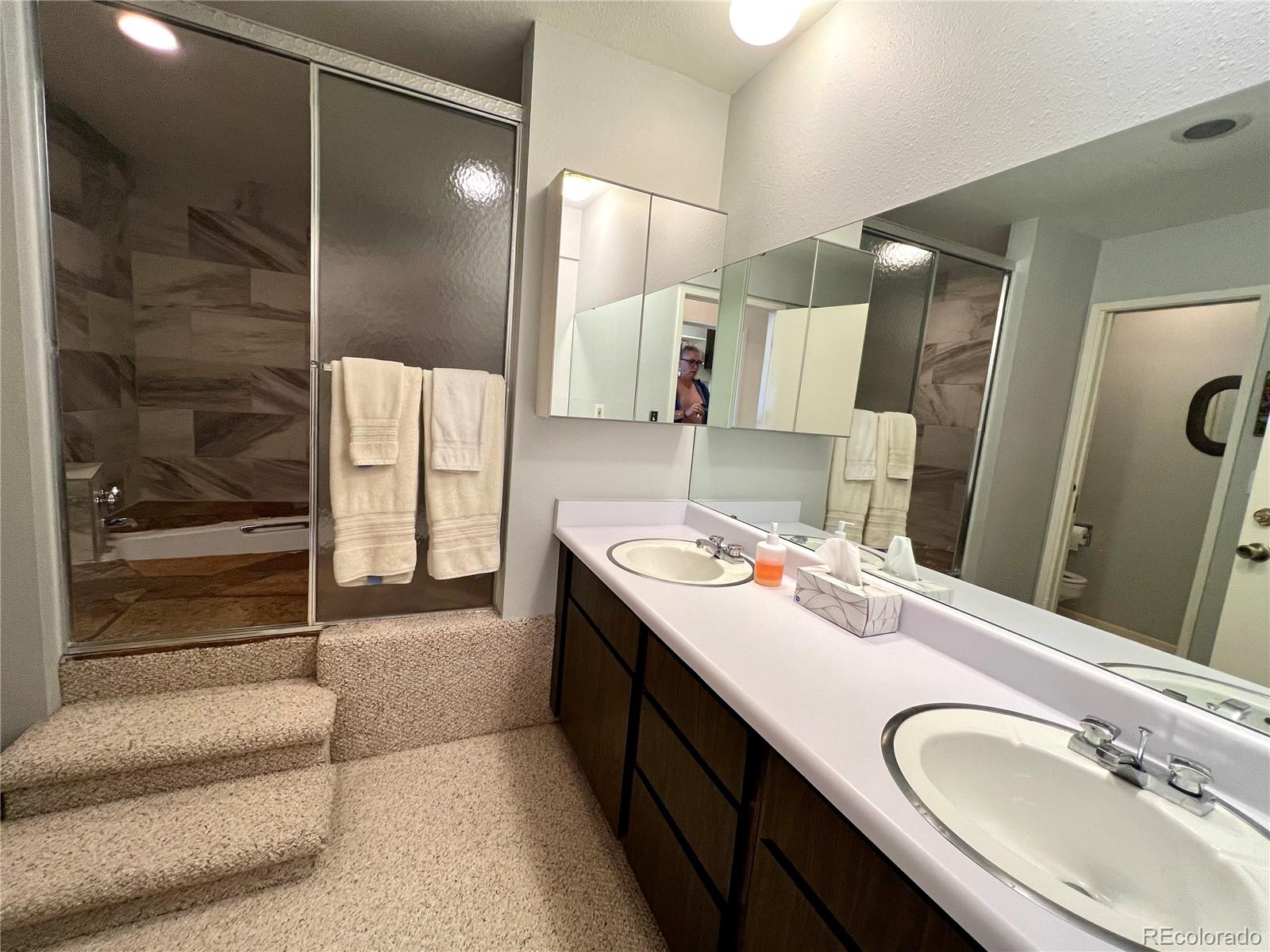 MLS Image #10 for 244  lodgepole street,dillon, Colorado