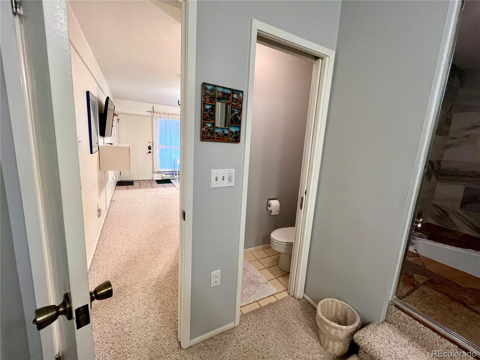 MLS Image #11 for 244  lodgepole street,dillon, Colorado