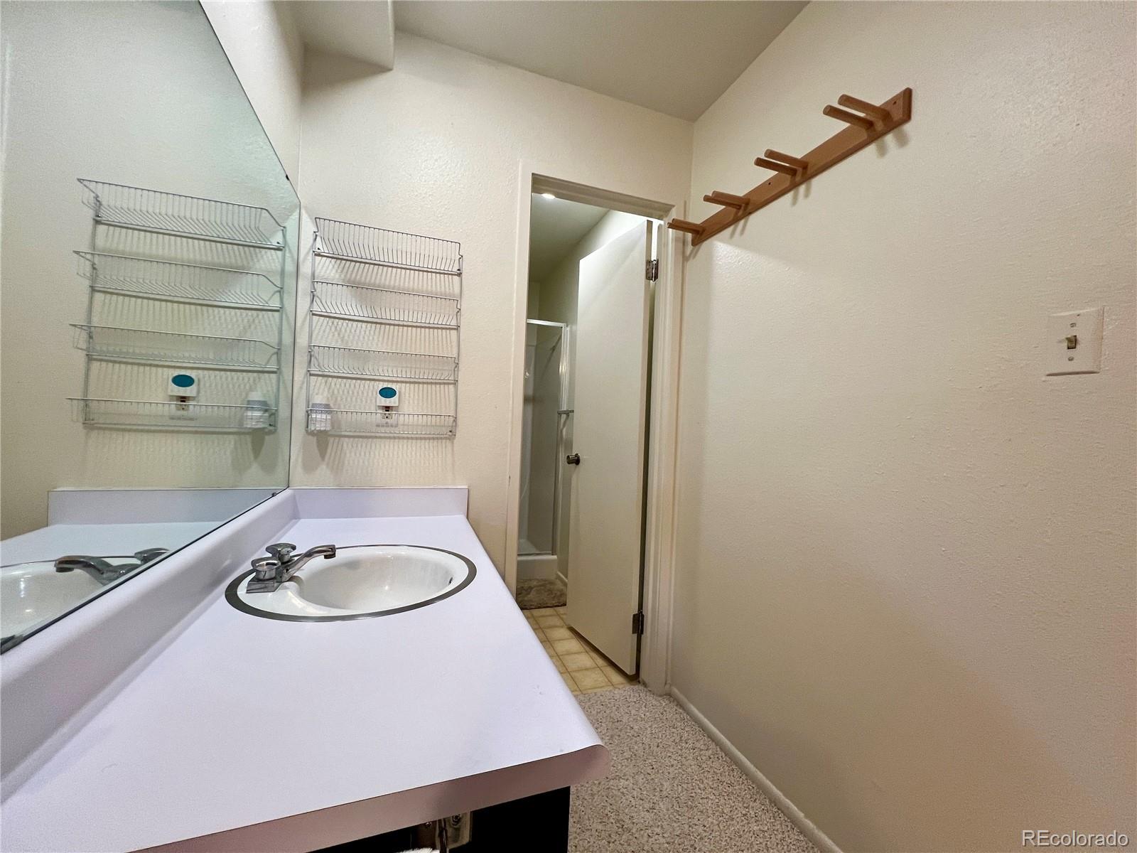 MLS Image #5 for 244  lodgepole street,dillon, Colorado