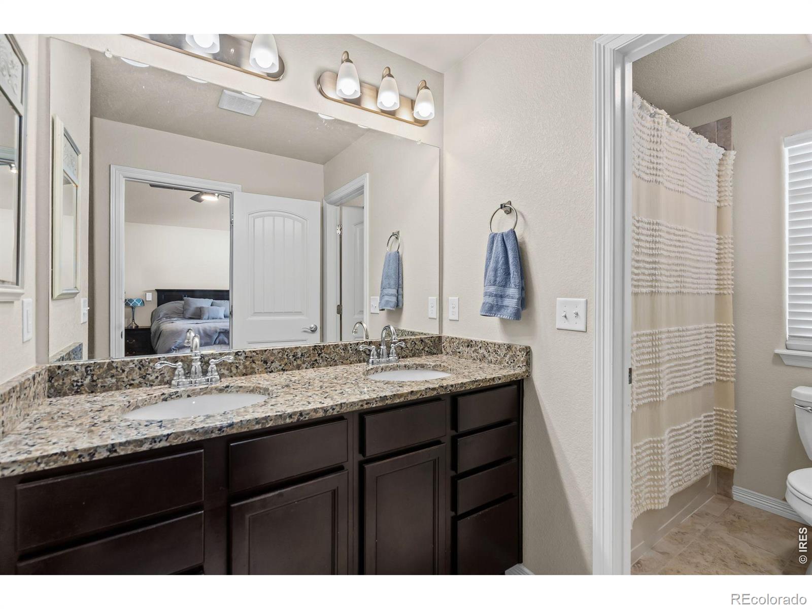 MLS Image #12 for 5599  clarence drive,windsor, Colorado