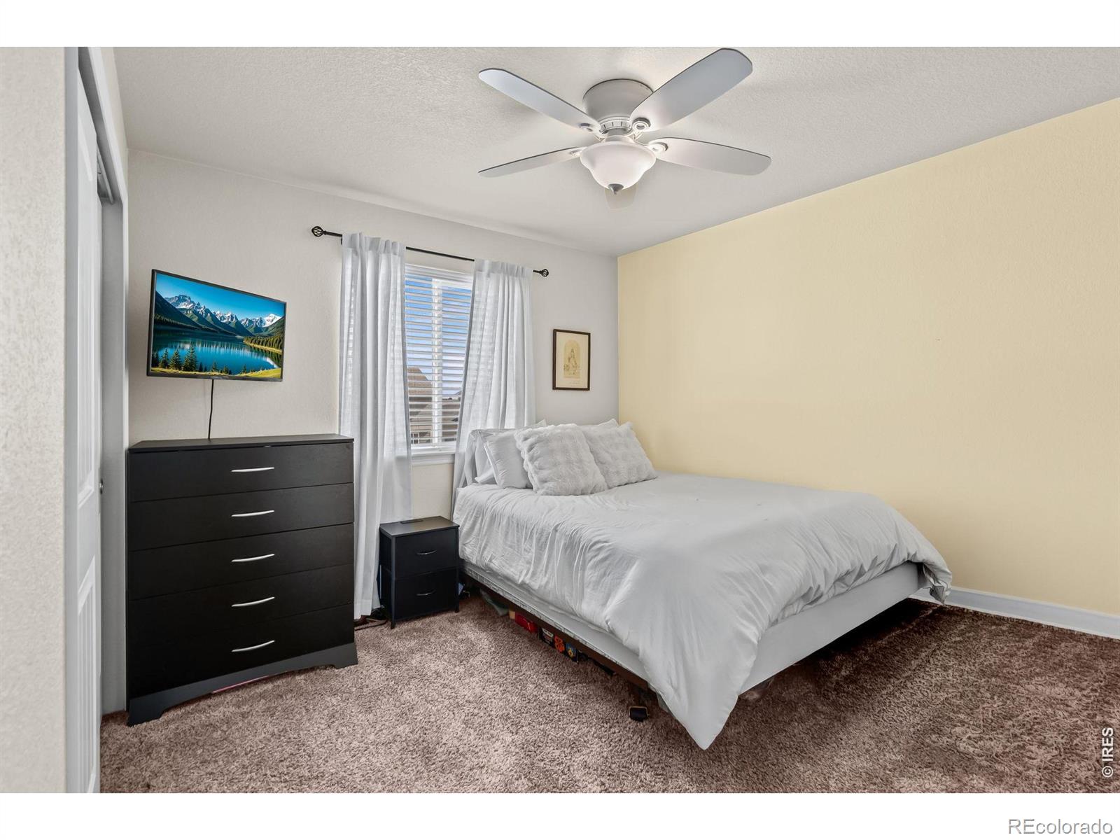 MLS Image #13 for 5599  clarence drive,windsor, Colorado