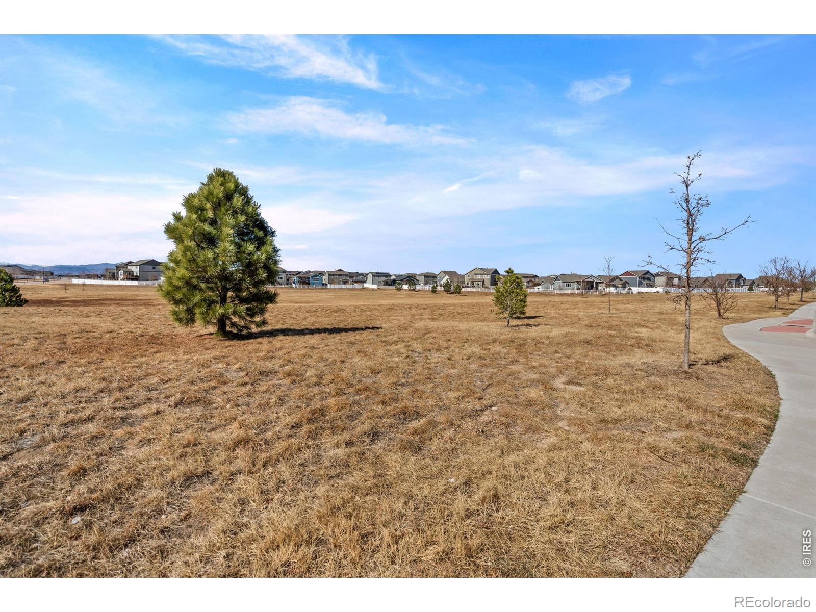 MLS Image #20 for 5599  clarence drive,windsor, Colorado