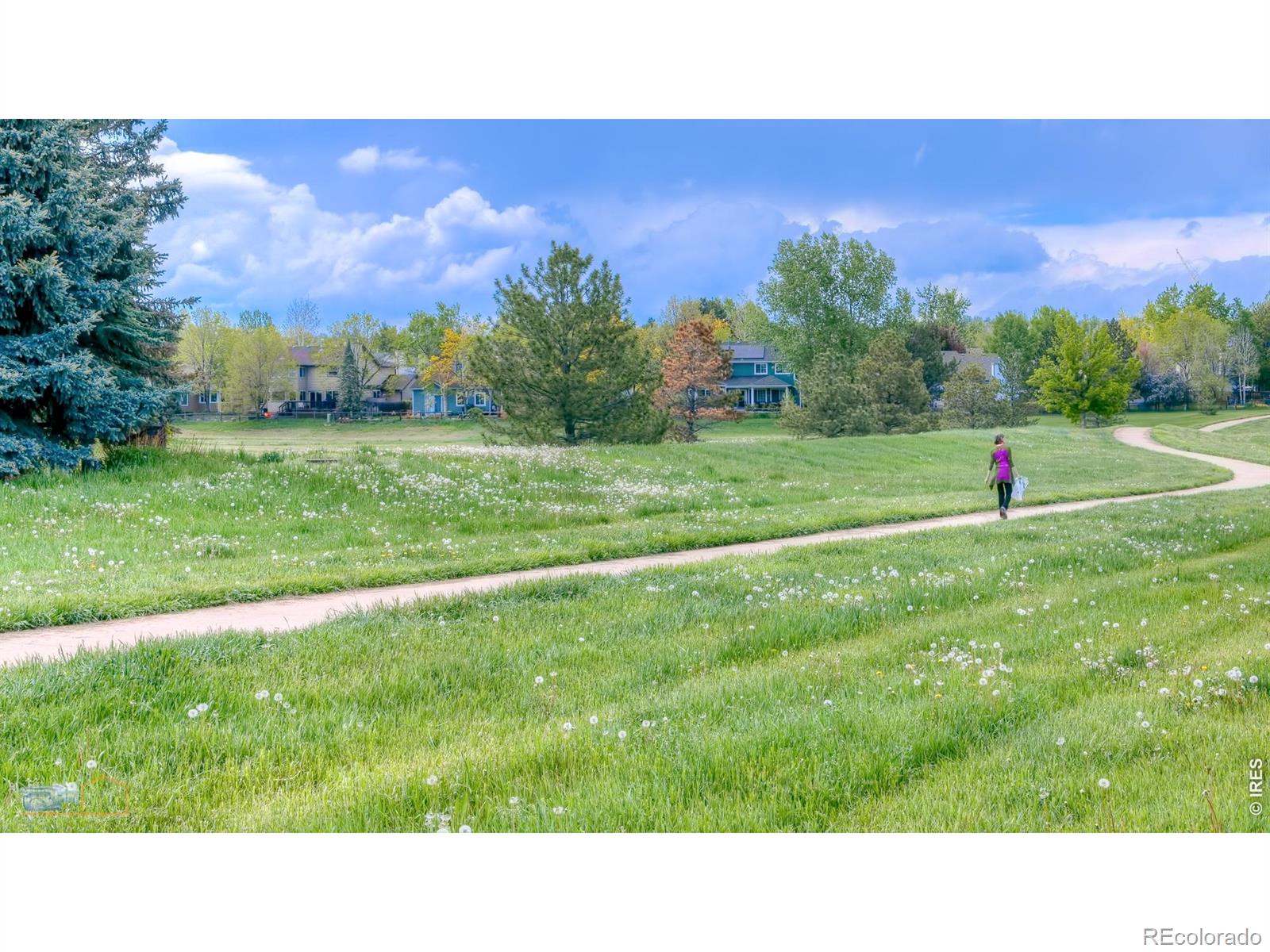 MLS Image #24 for 366 s taft court,louisville, Colorado