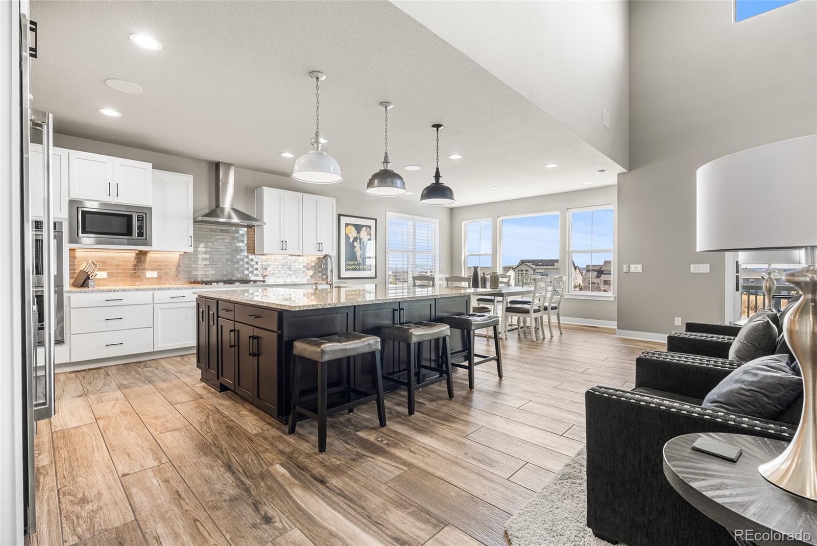 MLS Image #7 for 3238  wingspan point,castle rock, Colorado