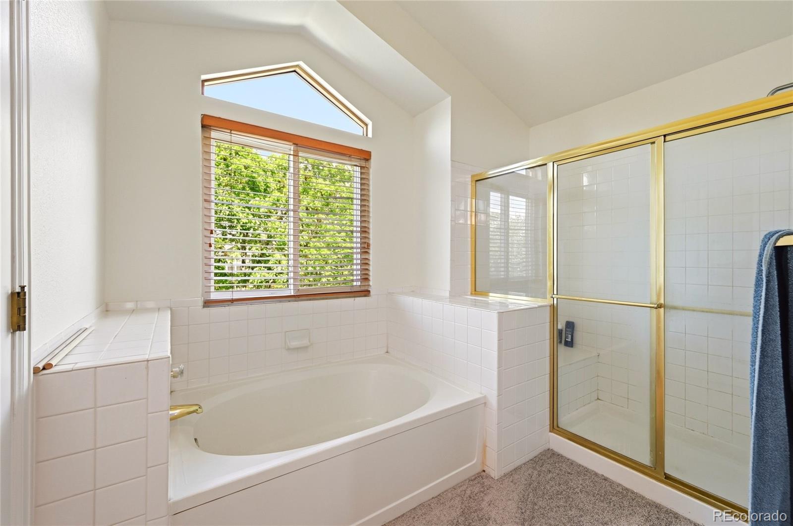 MLS Image #29 for 11285 w coal mine drive,littleton, Colorado