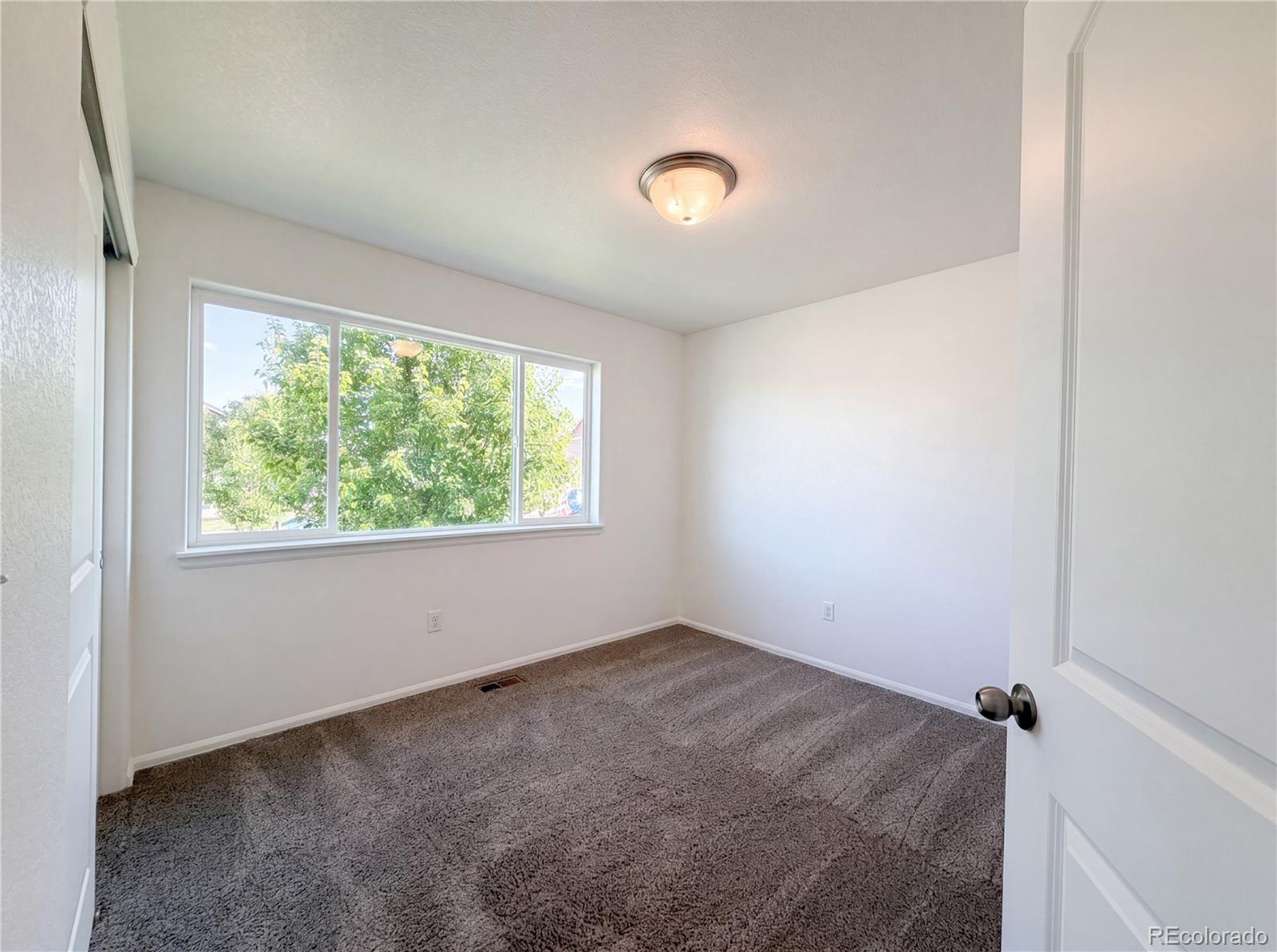 MLS Image #15 for 948  scotch pine drive,windsor, Colorado