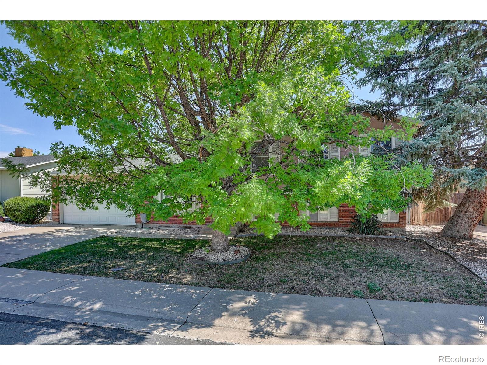 MLS Image #2 for 10895  grange creek drive,thornton, Colorado