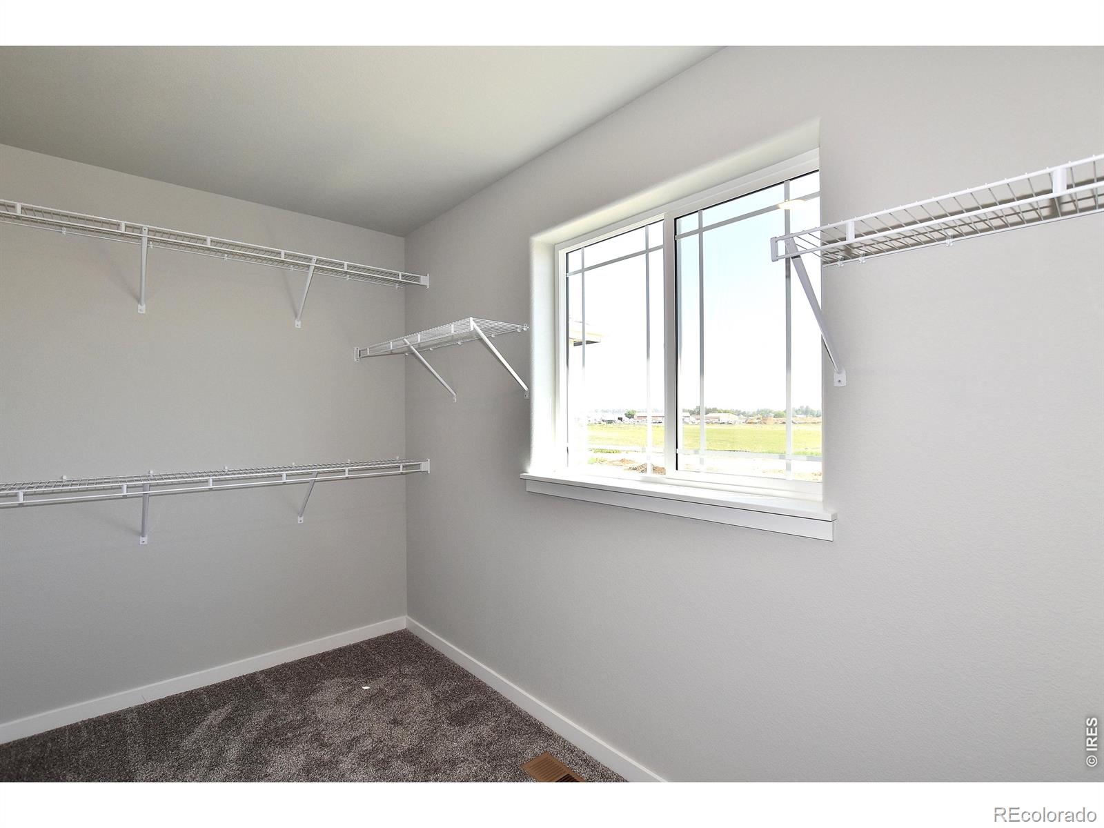 MLS Image #29 for 1102  crown sparrow street,johnstown, Colorado
